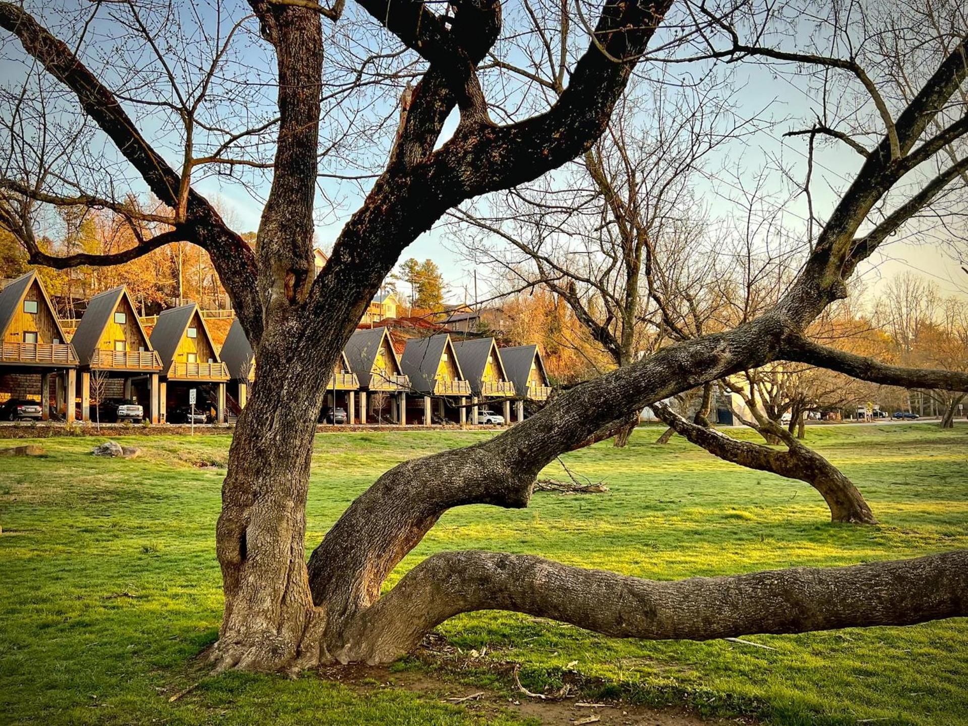 Wrong Way River Lodge & Cabins photo 12