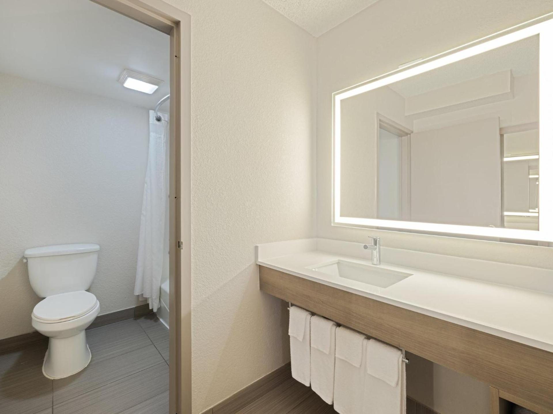 Holiday Inn Express Hotel & Suites Ft. Lauderdale-Plantation by IHG photo 71