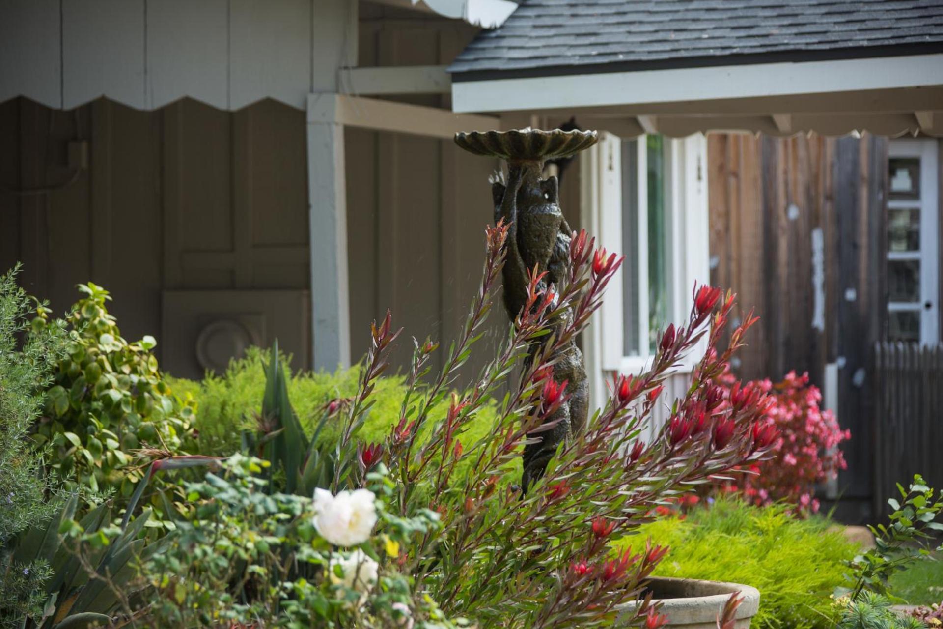 Carmel River Inn & Cottages photo 45