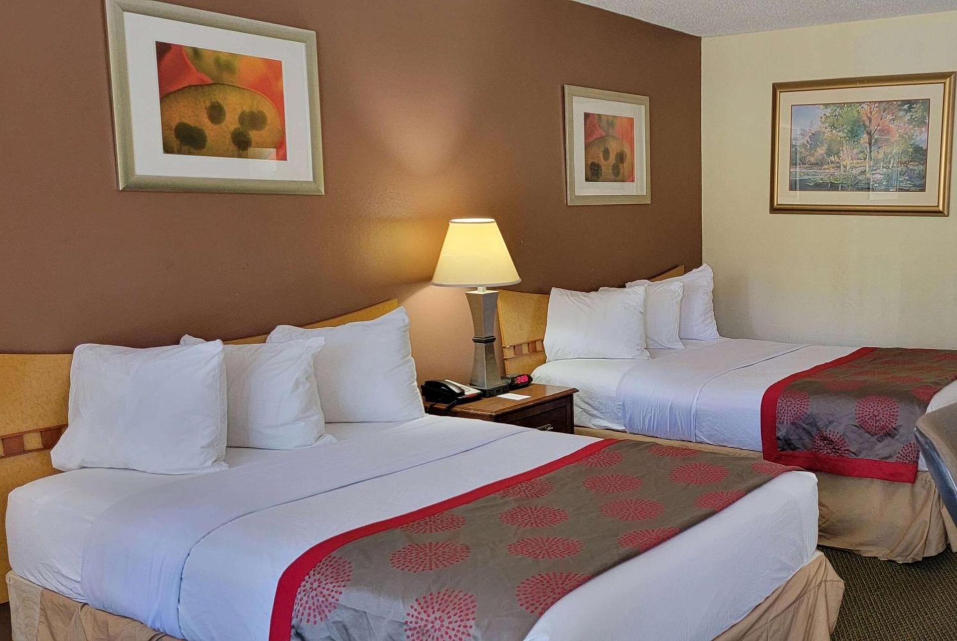 Ramada by Wyndham & Suites Warner Robins photo 17