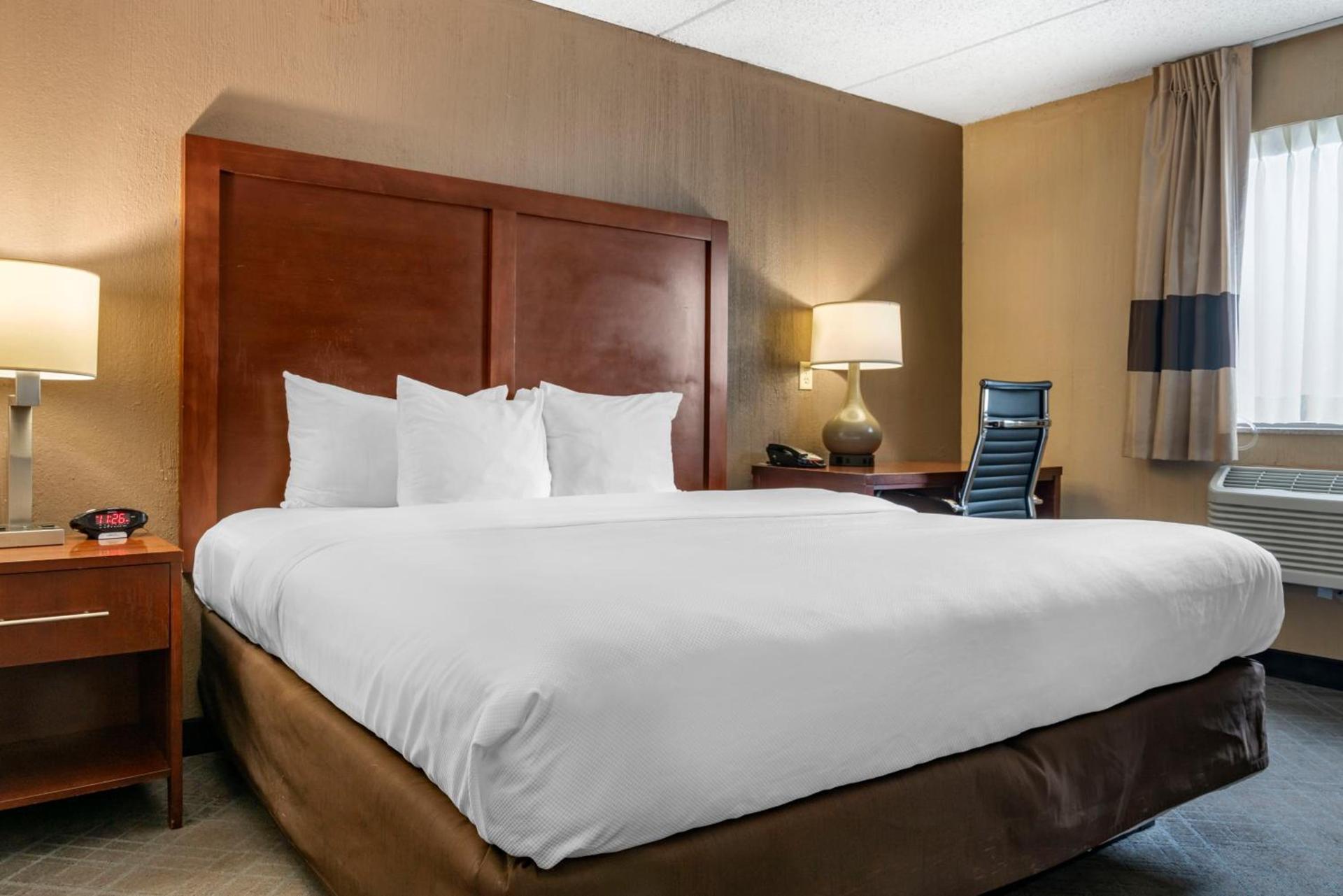 Comfort Inn University photo 19