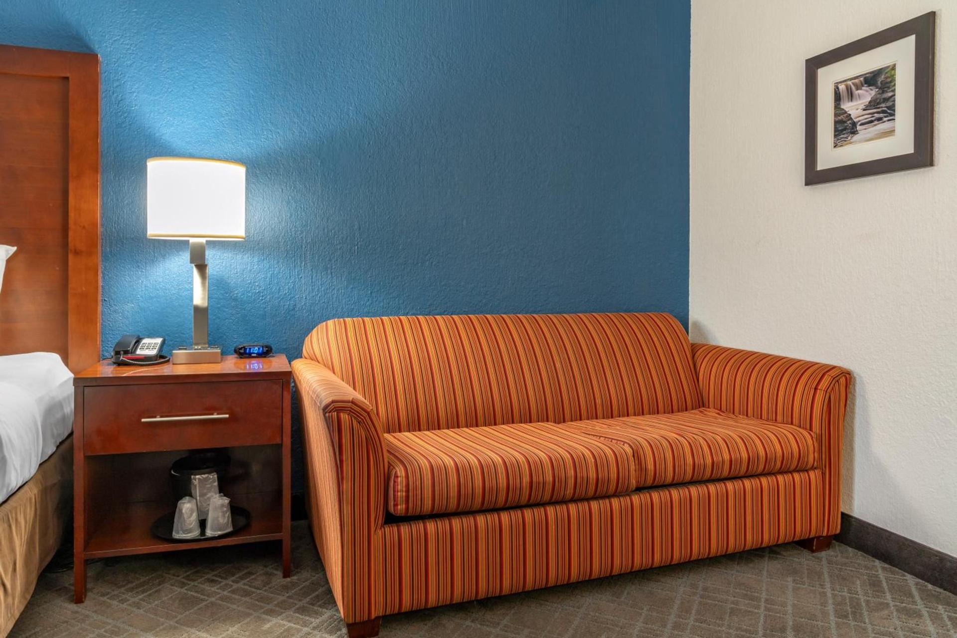 Comfort Inn University photo 40