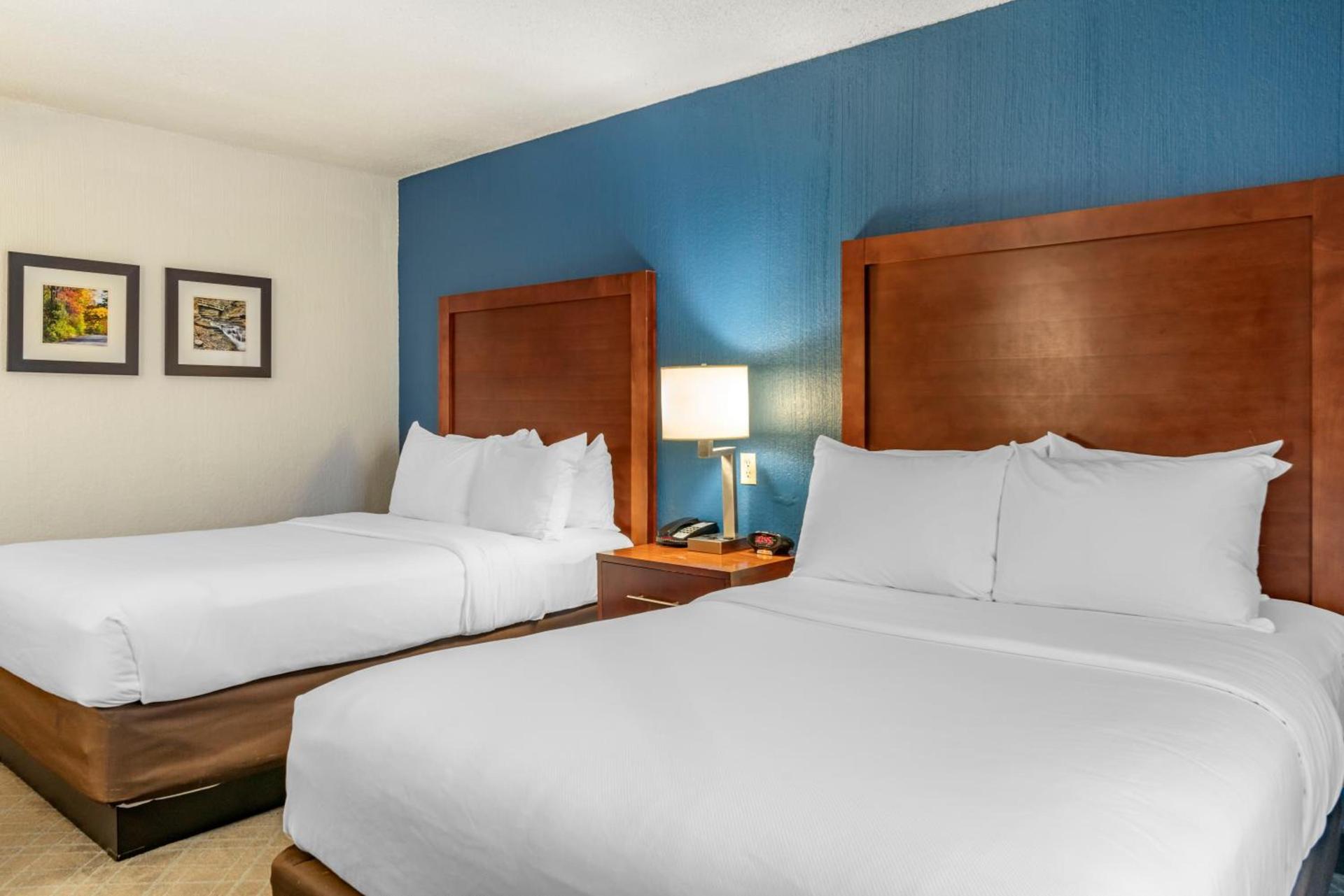 Comfort Inn University photo 42
