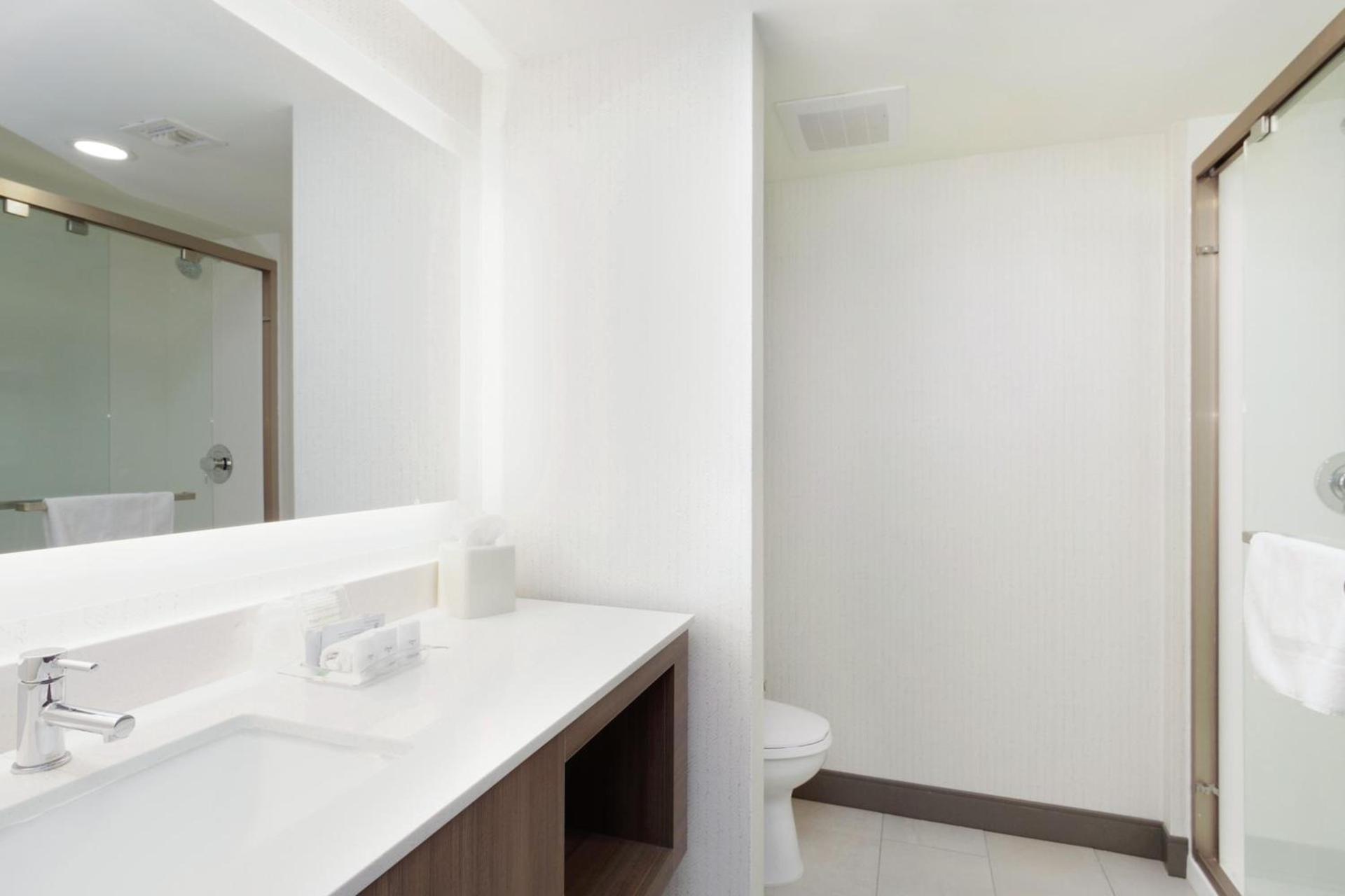 Holiday Inn & Suites Phoenix Airport by IHG photo 7