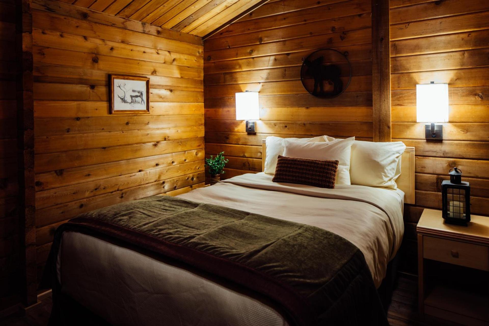 Denali Cabins photo 8