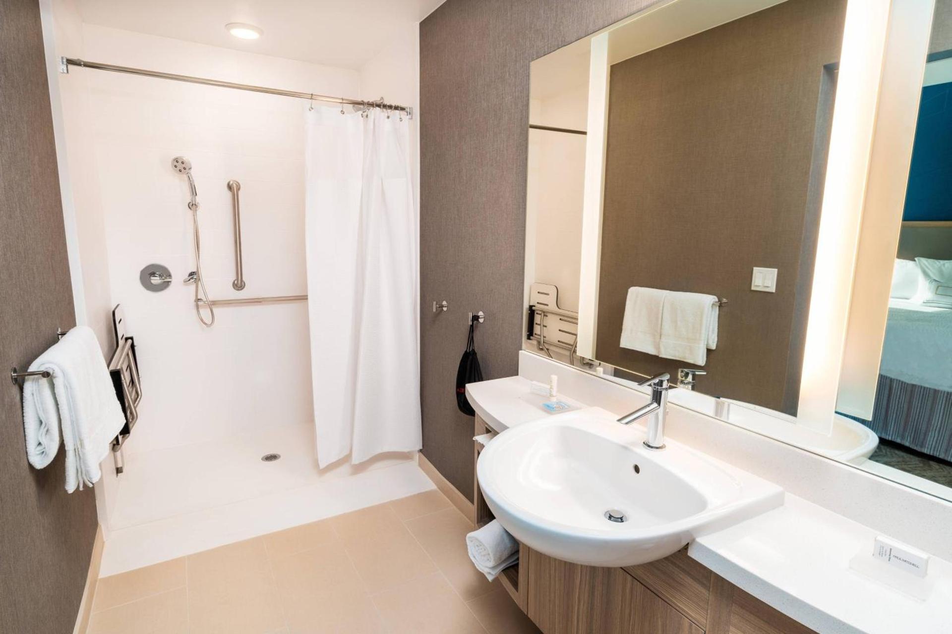 SpringHill Suites by Marriott Newark Fremont photo 18