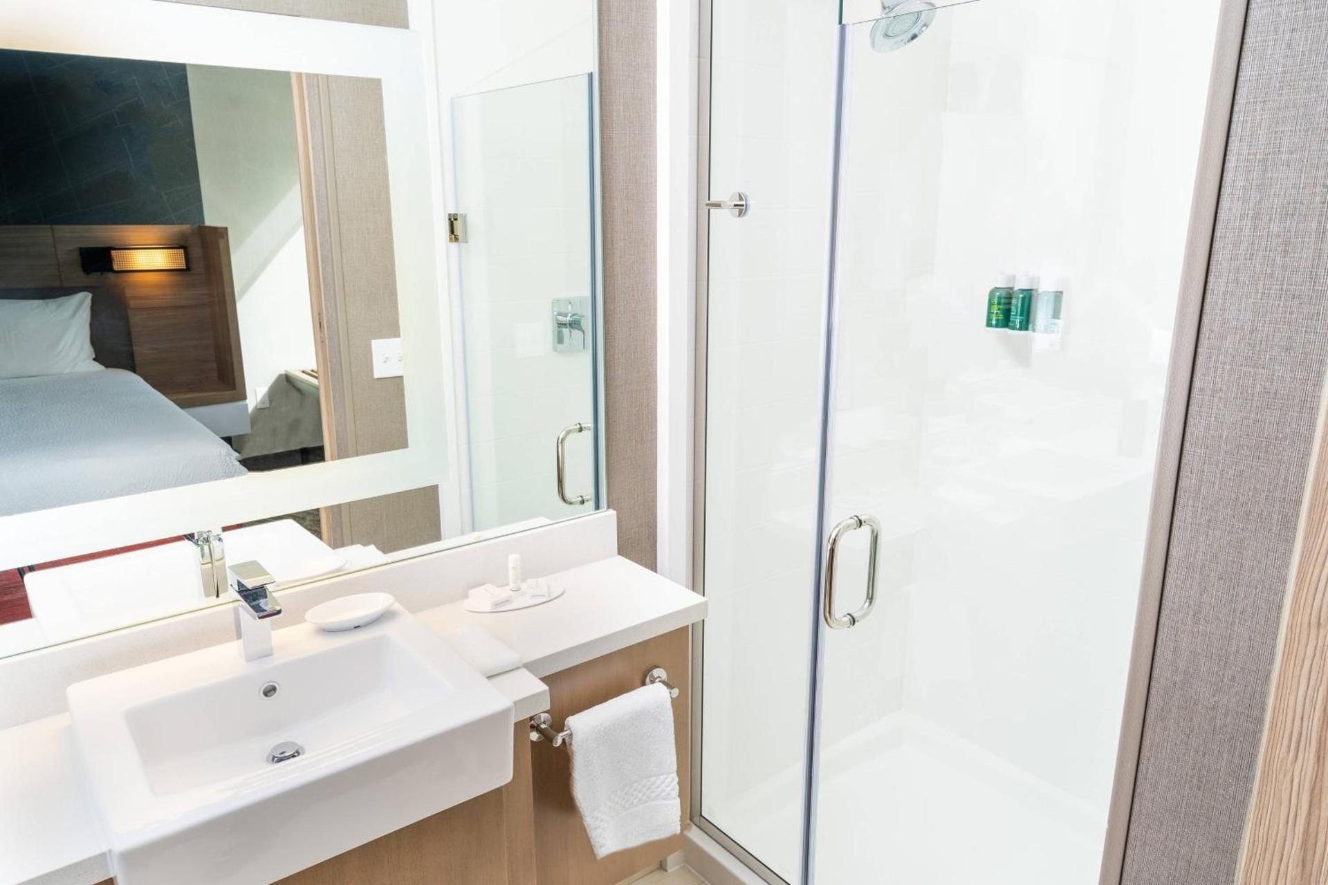 SpringHill Suites by Marriott Newark Fremont photo 20