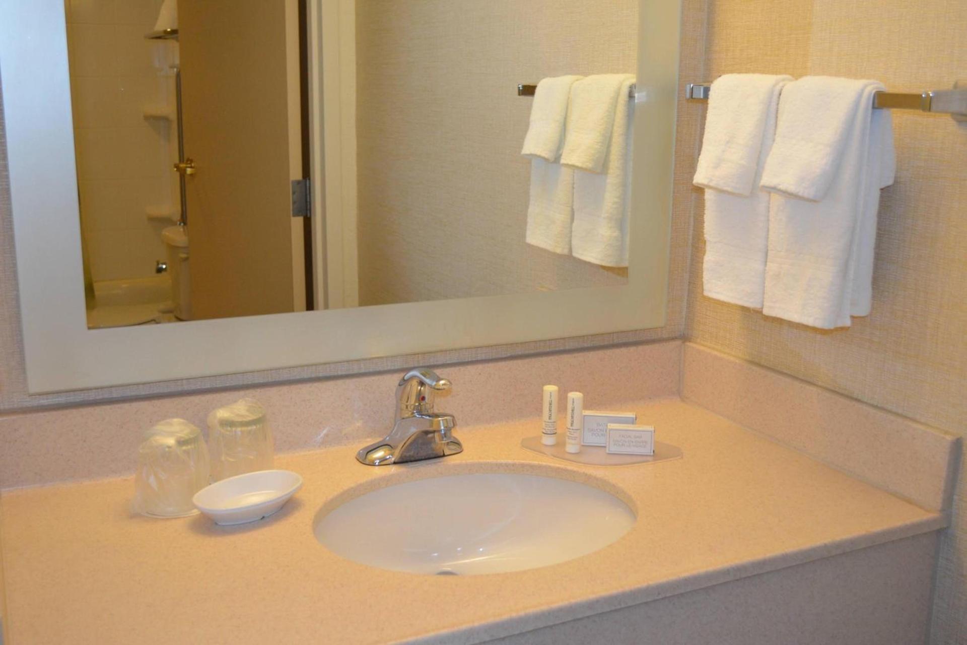 SpringHill Suites by Marriott Lansing West photo 20