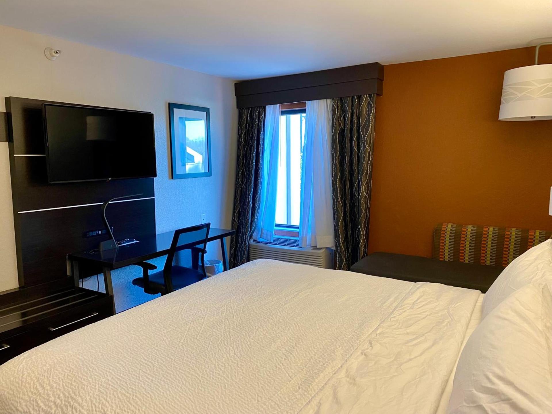 Holiday Inn Express Metropolis by IHG photo 25