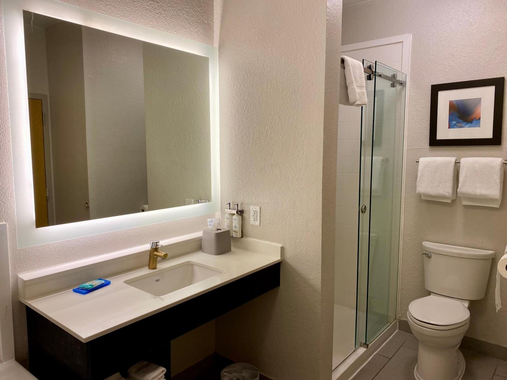 Holiday Inn Express Metropolis by IHG photo 27