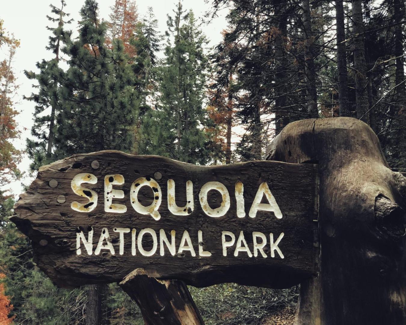AutoCamp Sequoia photo 12