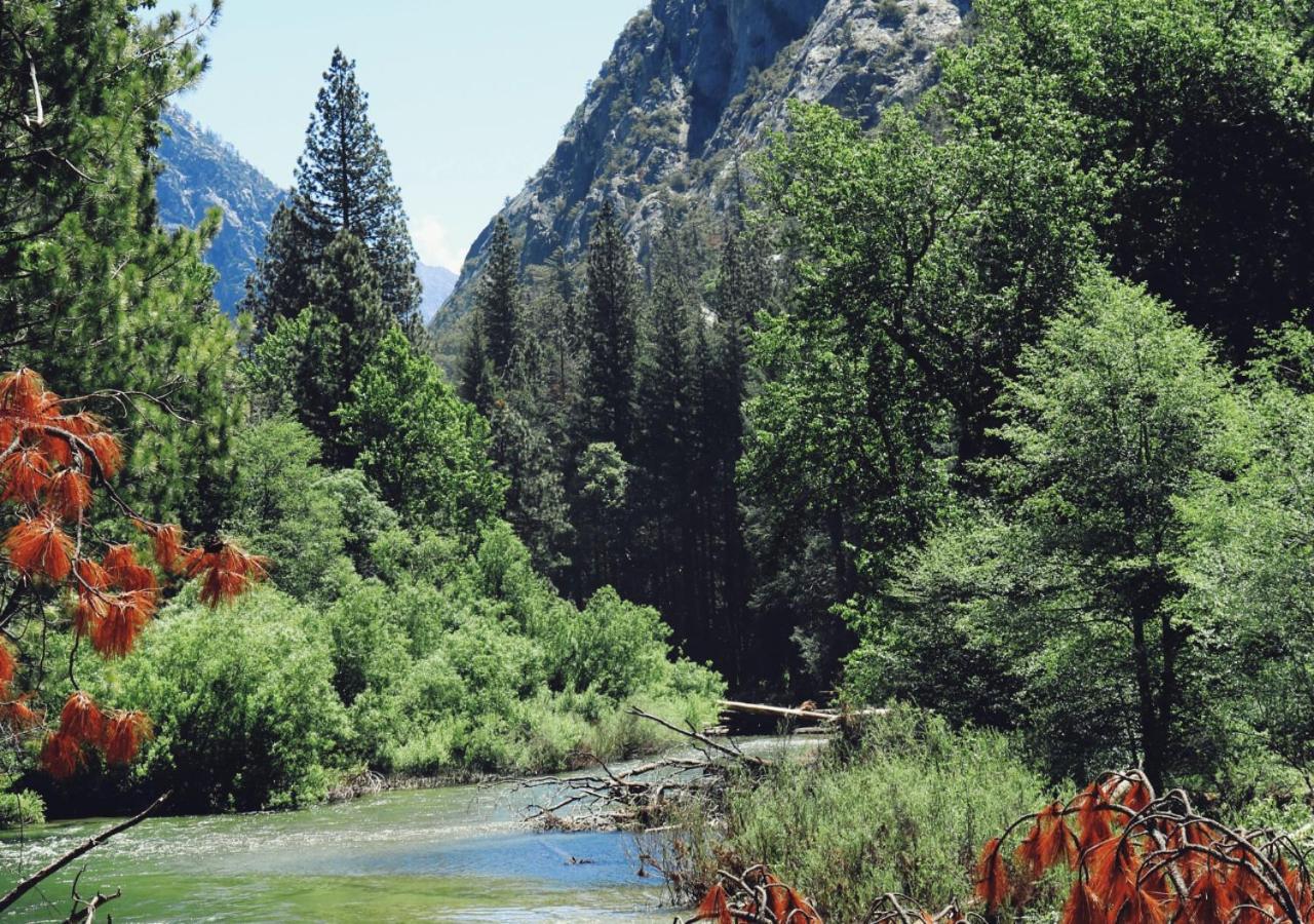 AutoCamp Sequoia photo 7
