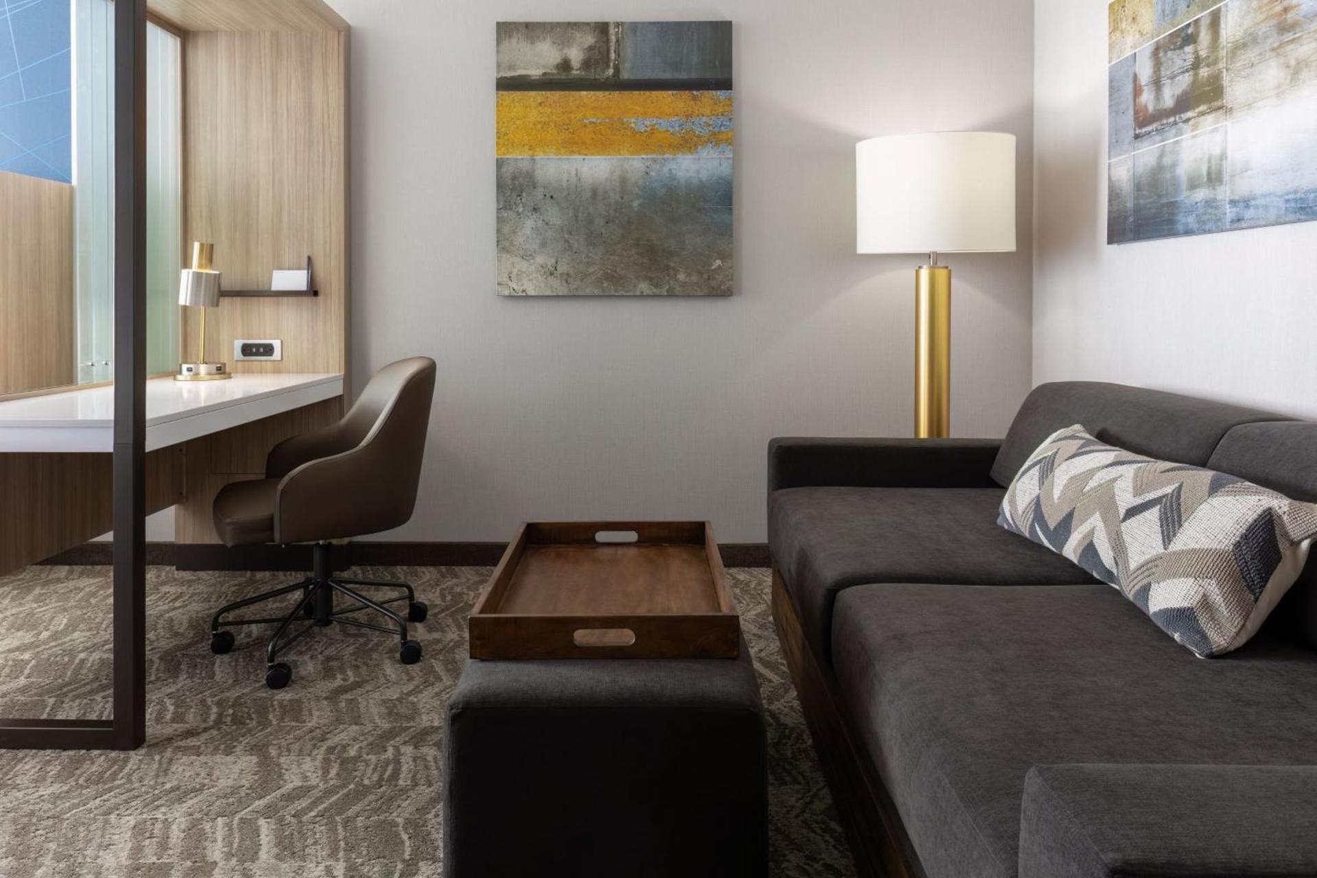 SpringHill Suites by Marriott Pleasanton photo 22
