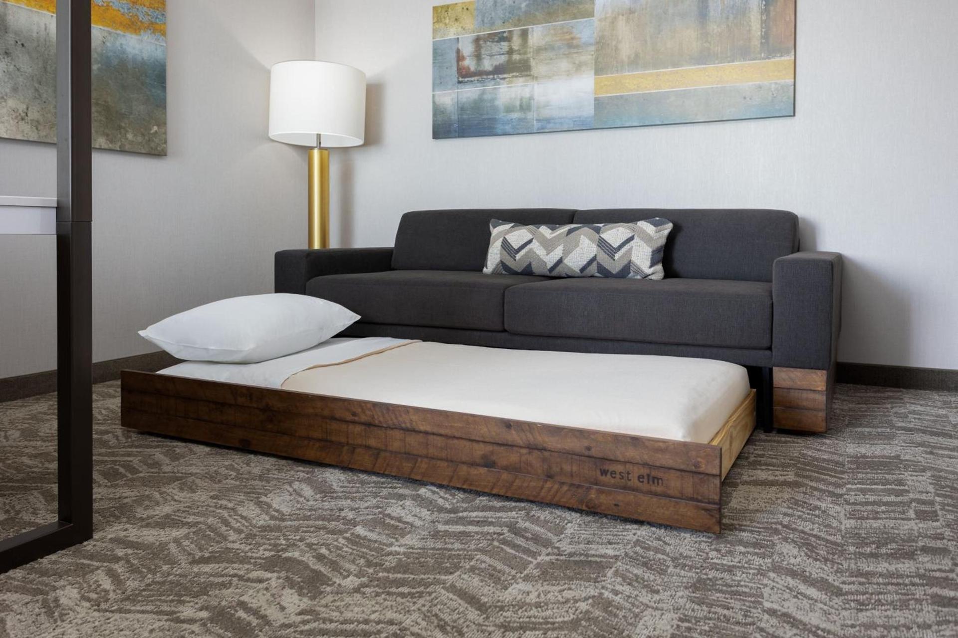 SpringHill Suites by Marriott Pleasanton photo 15