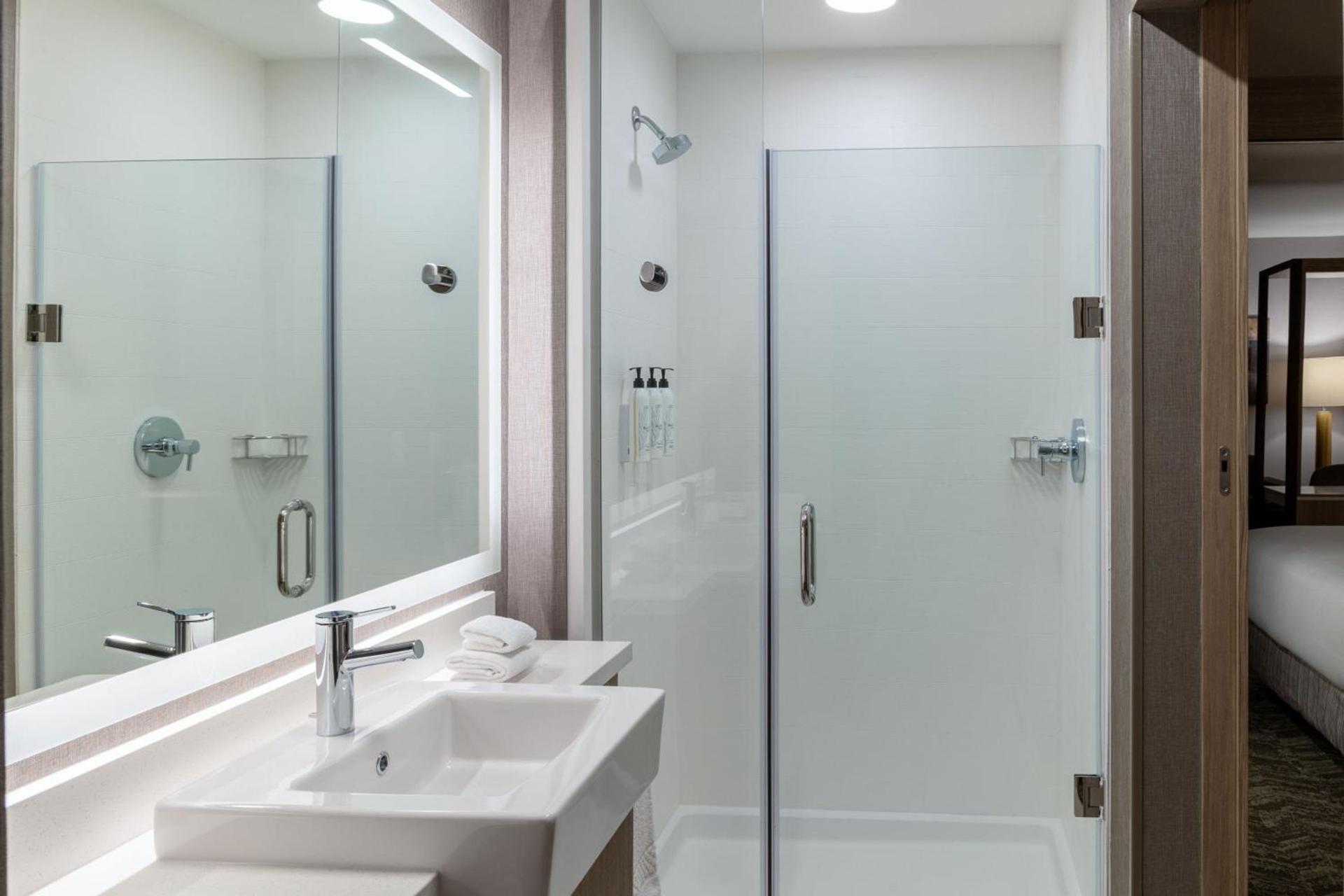 SpringHill Suites by Marriott Pleasanton photo 21
