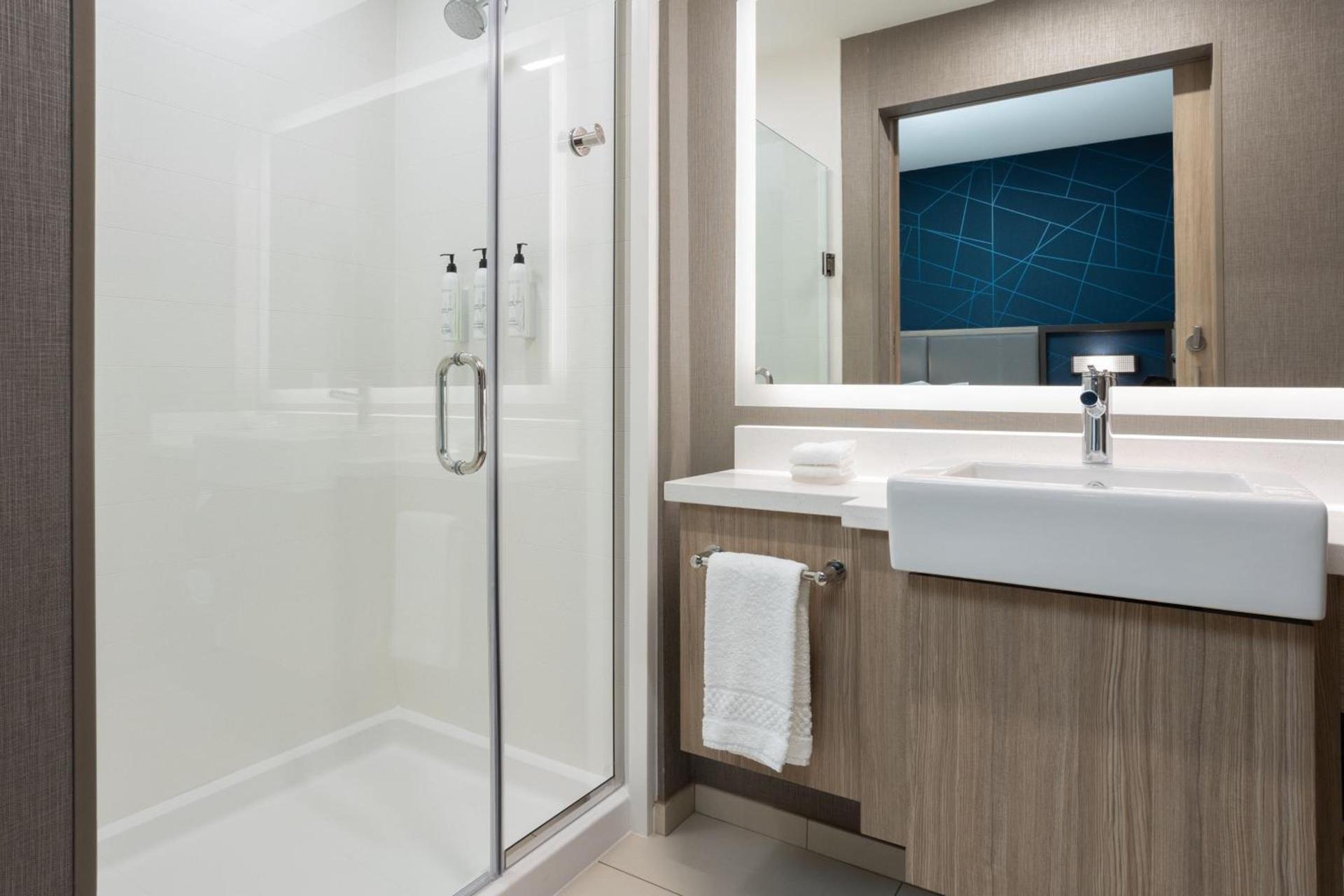 SpringHill Suites by Marriott Pleasanton photo 18