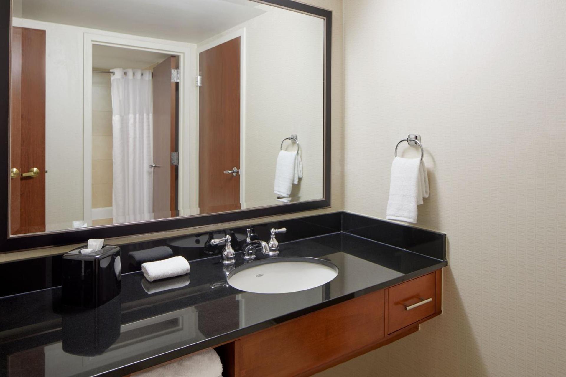 Detroit Metro Airport Marriott photo 17