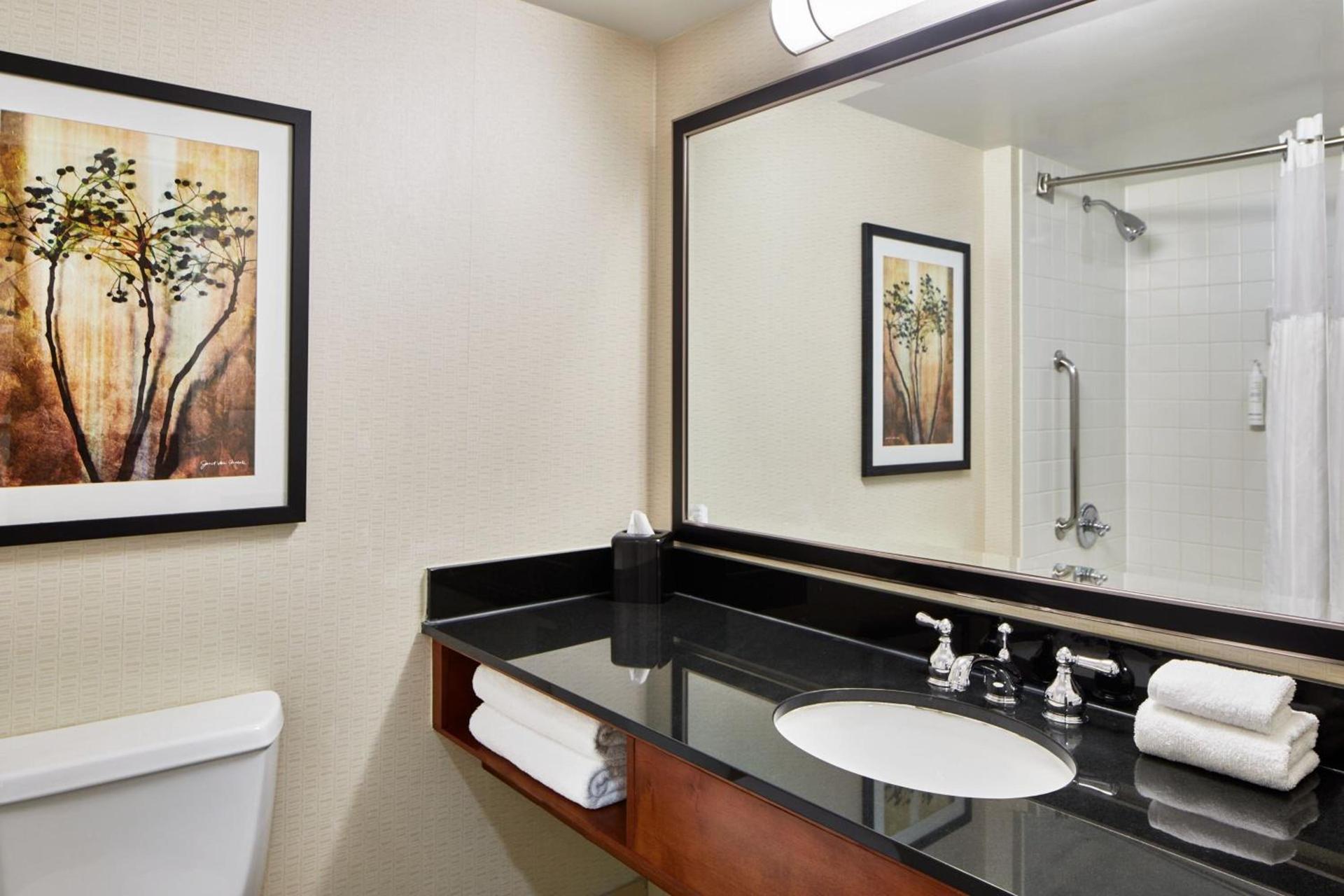 Detroit Metro Airport Marriott photo 18