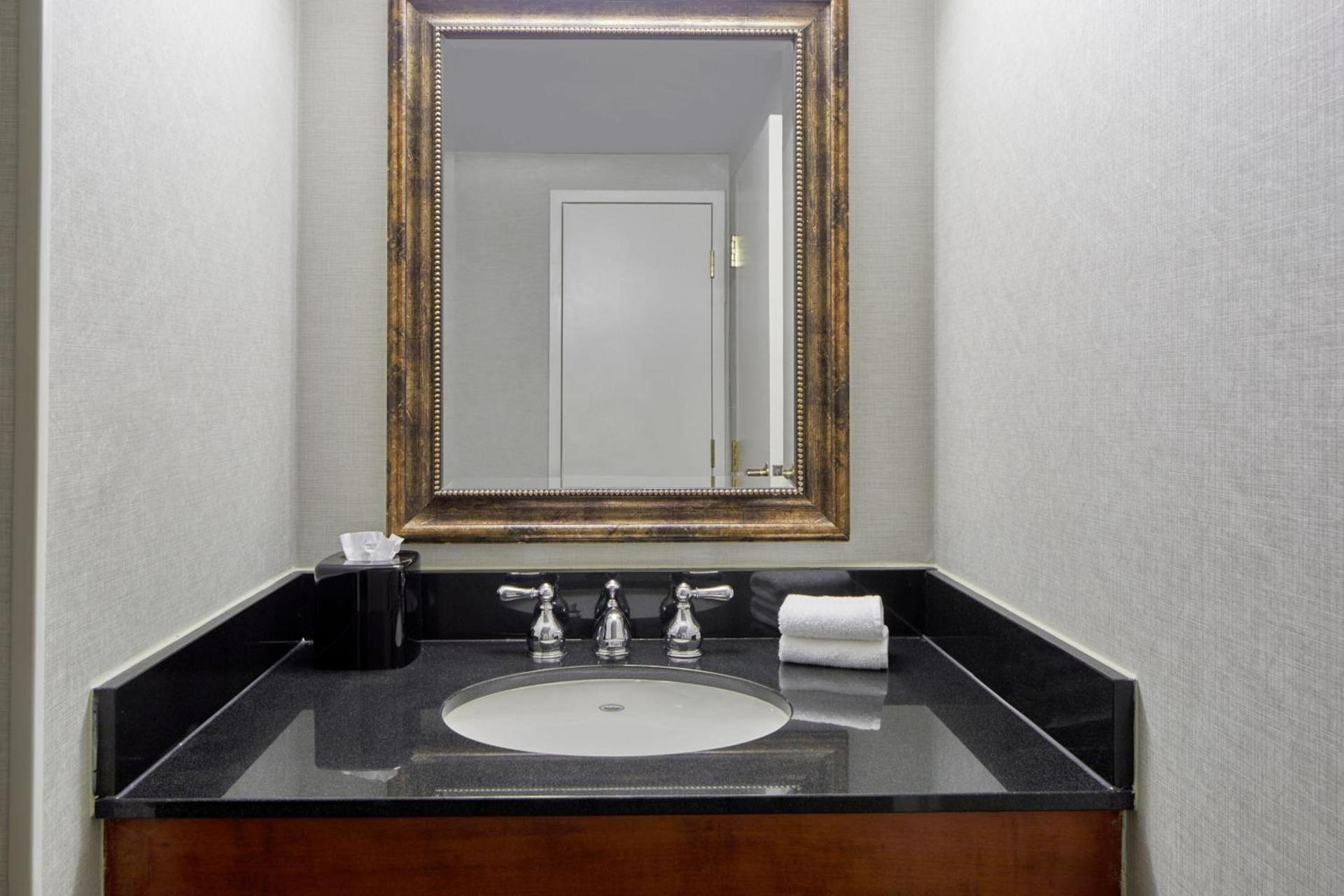 Detroit Metro Airport Marriott photo 19