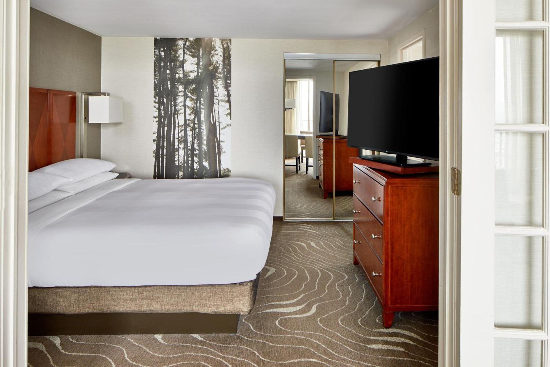 Detroit Metro Airport Marriott photo 27
