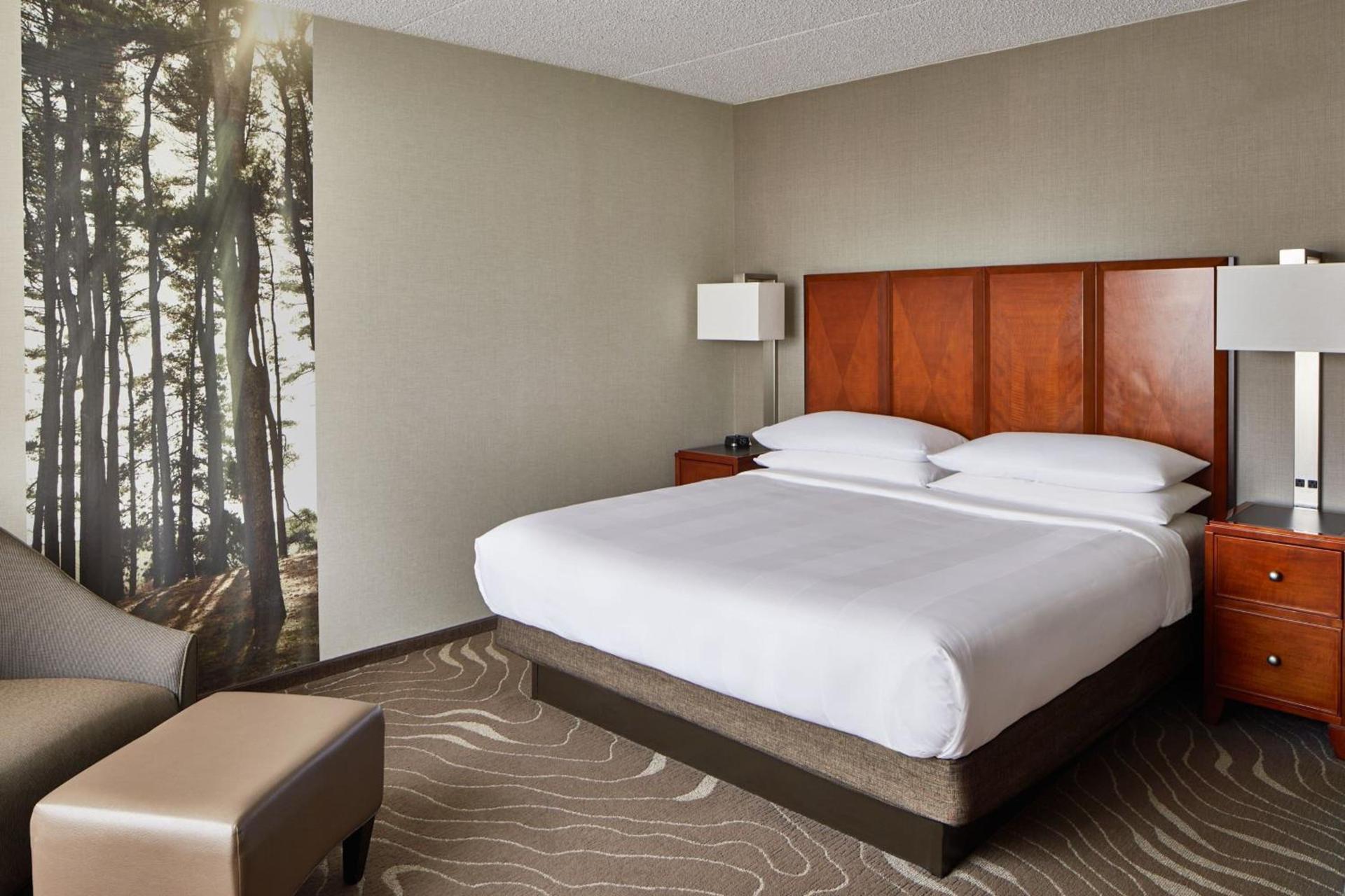 Detroit Metro Airport Marriott photo 28
