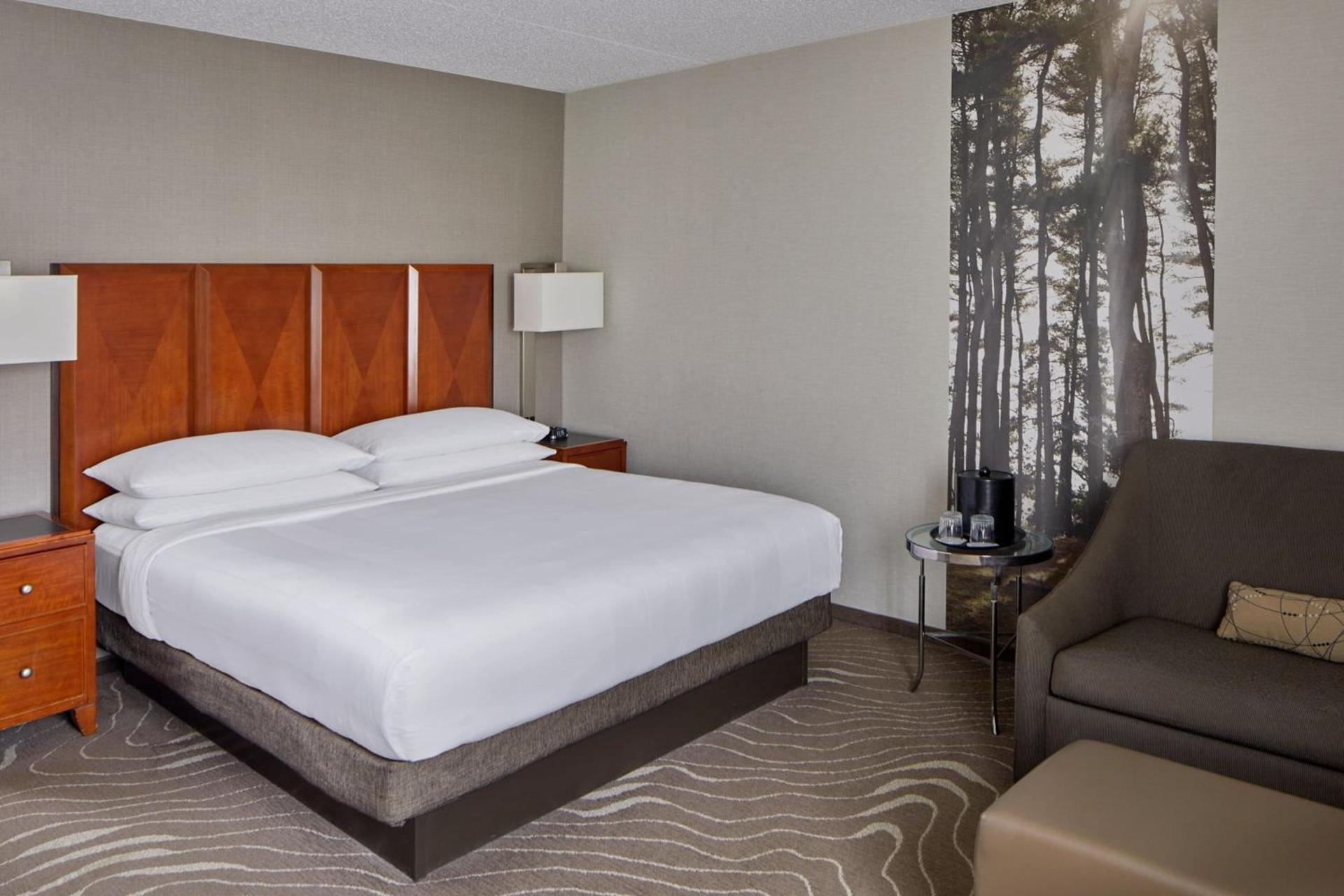 Detroit Metro Airport Marriott photo 29
