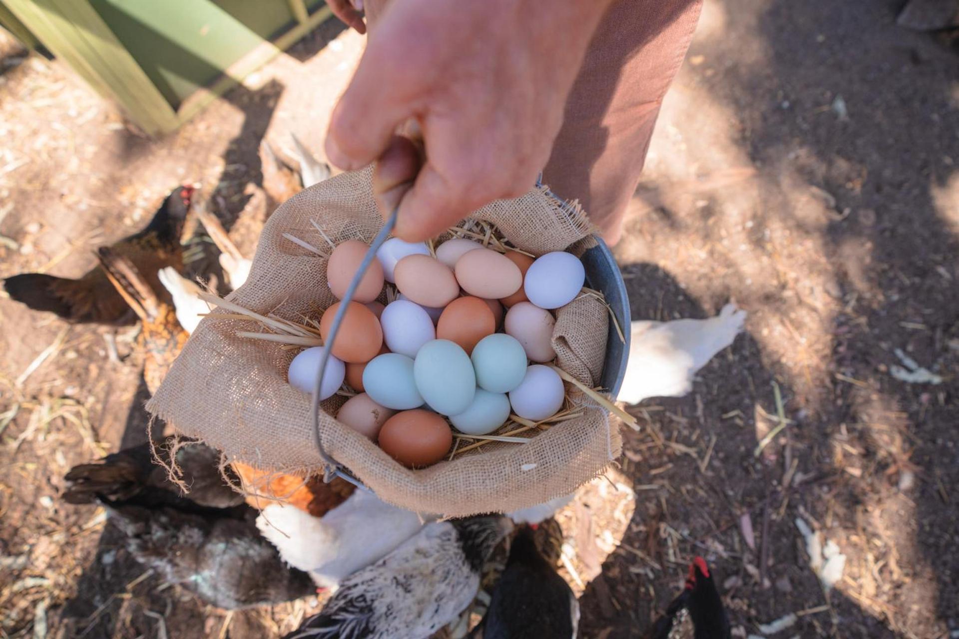 The Ranch at Laguna Beach photo 49