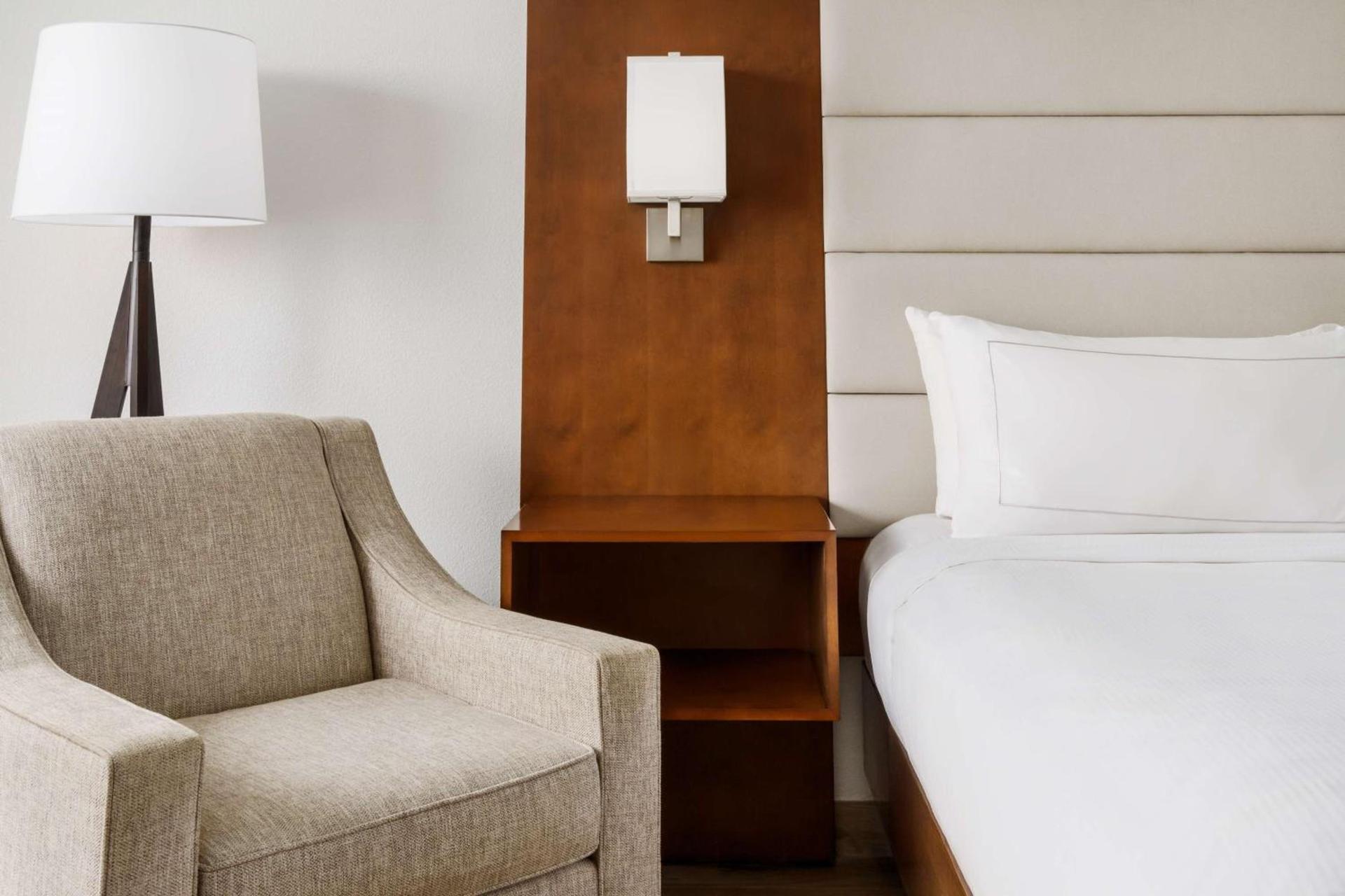 DoubleTree Beach Resort by Hilton Tampa Bay – North Redington Beach photo 21