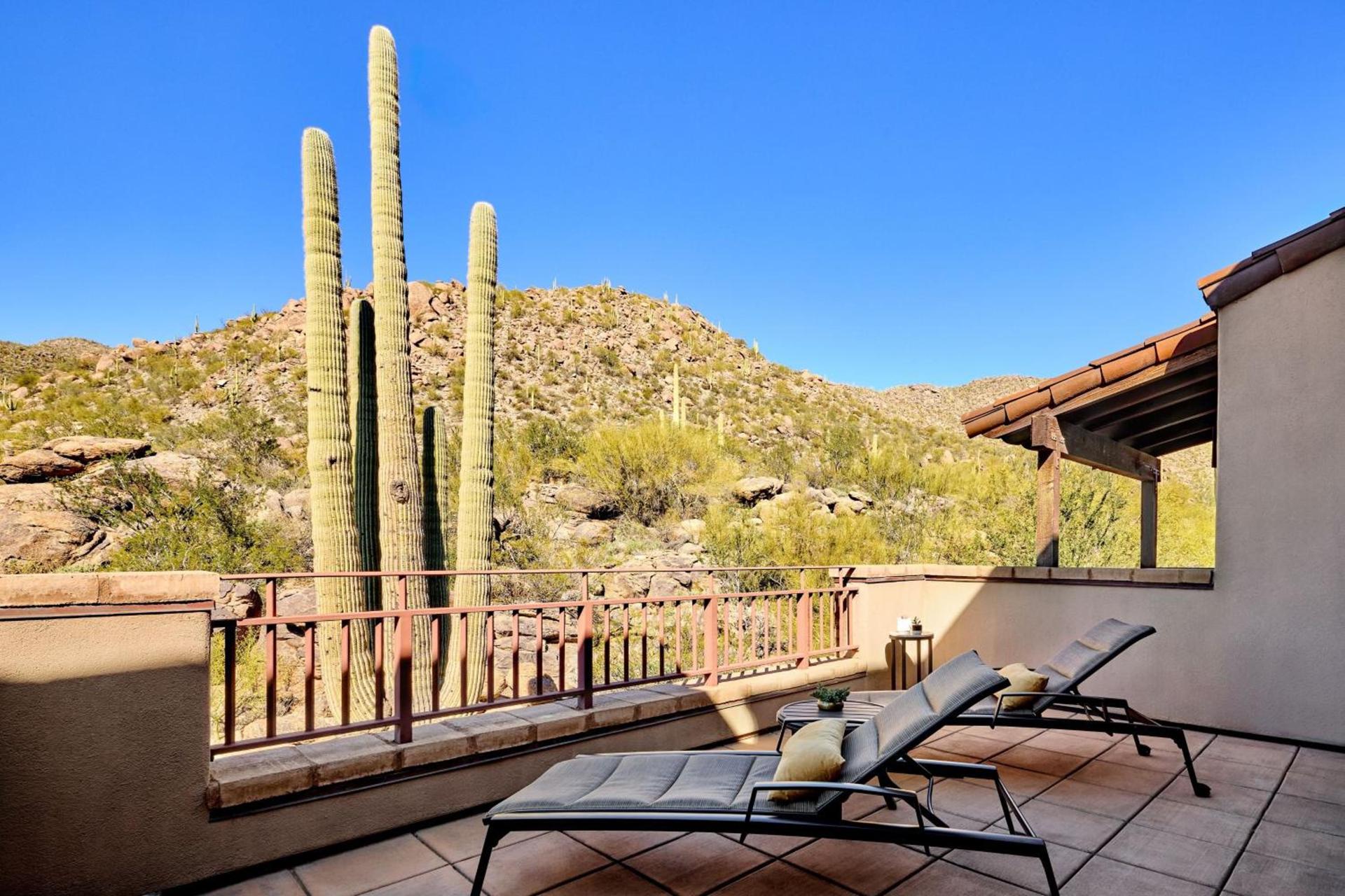 The Ritz-Carlton, Dove Mountain photo 88