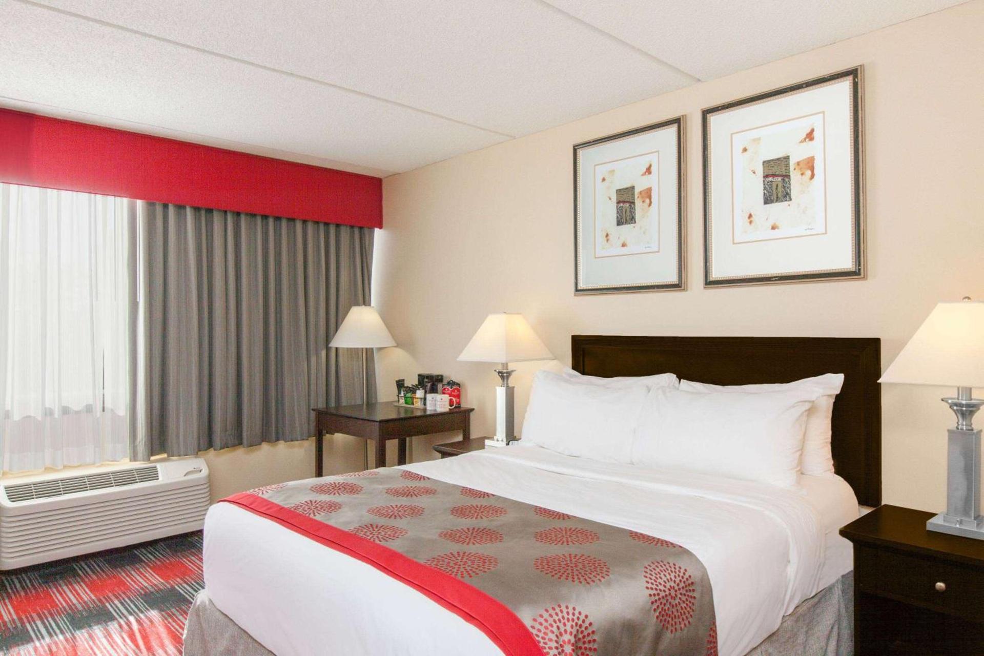 Albany Plaza Hotel photo 6