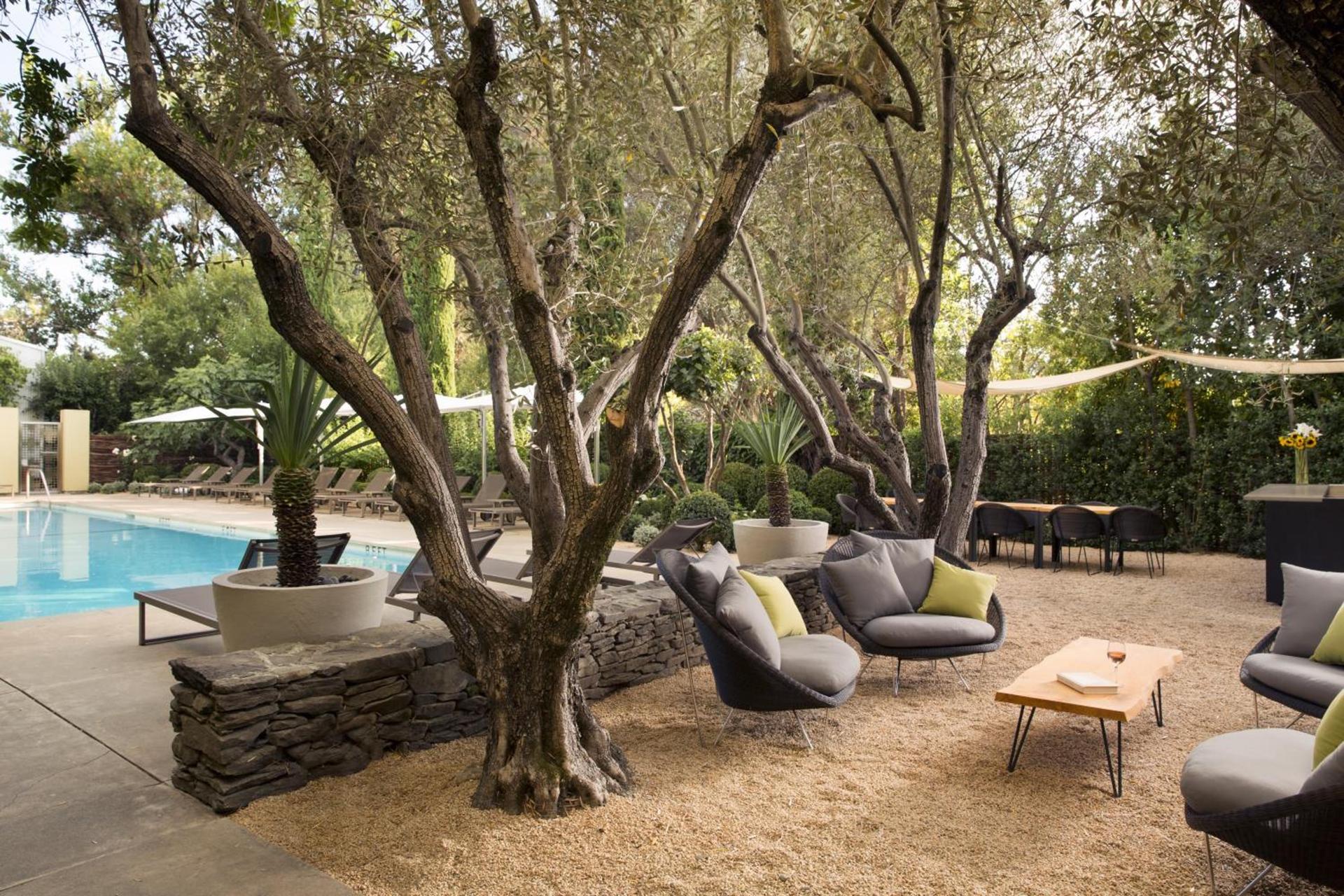 Hotel Healdsburg photo 12