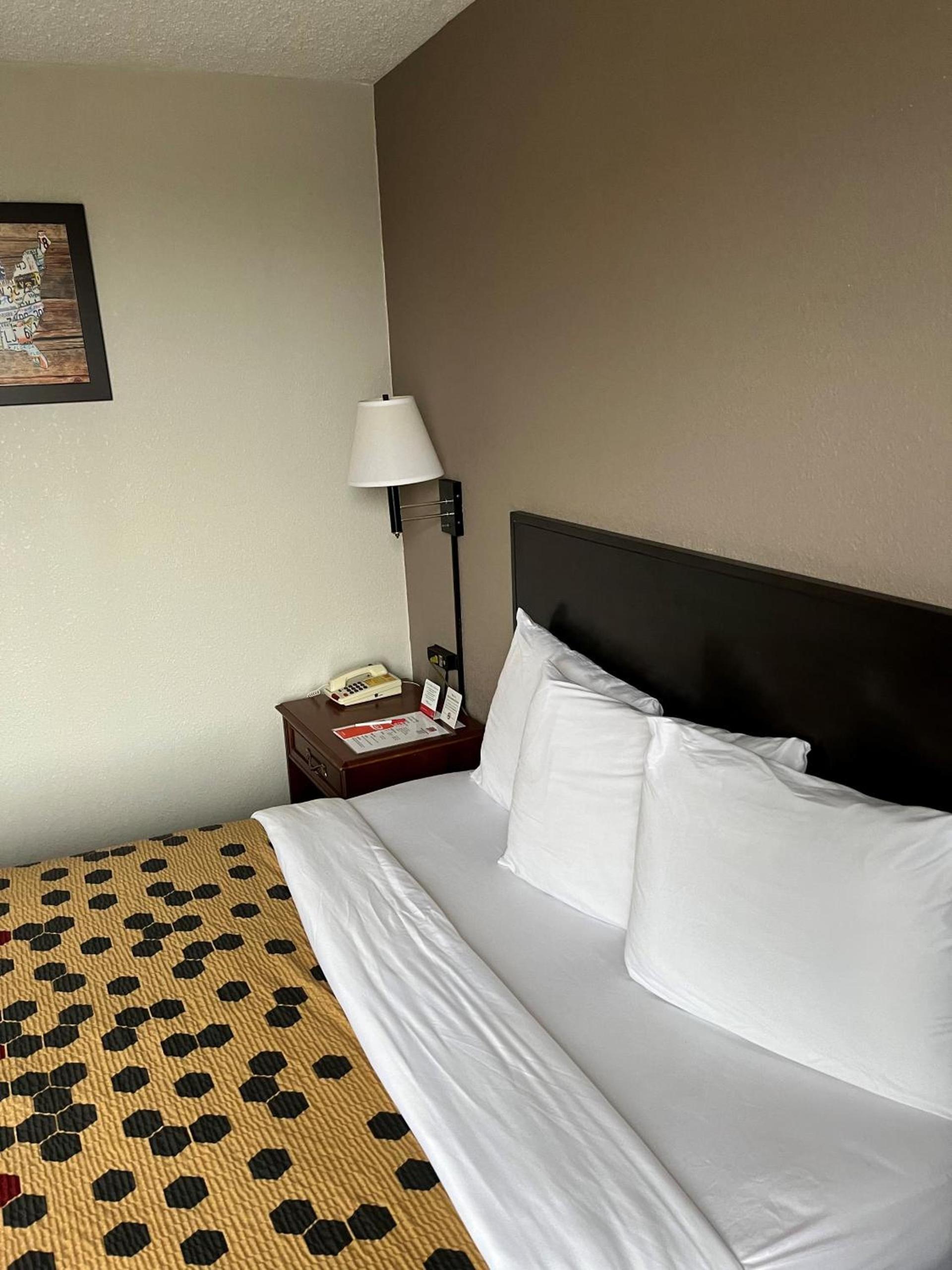 Red Carpet Inn Quantico photo 12