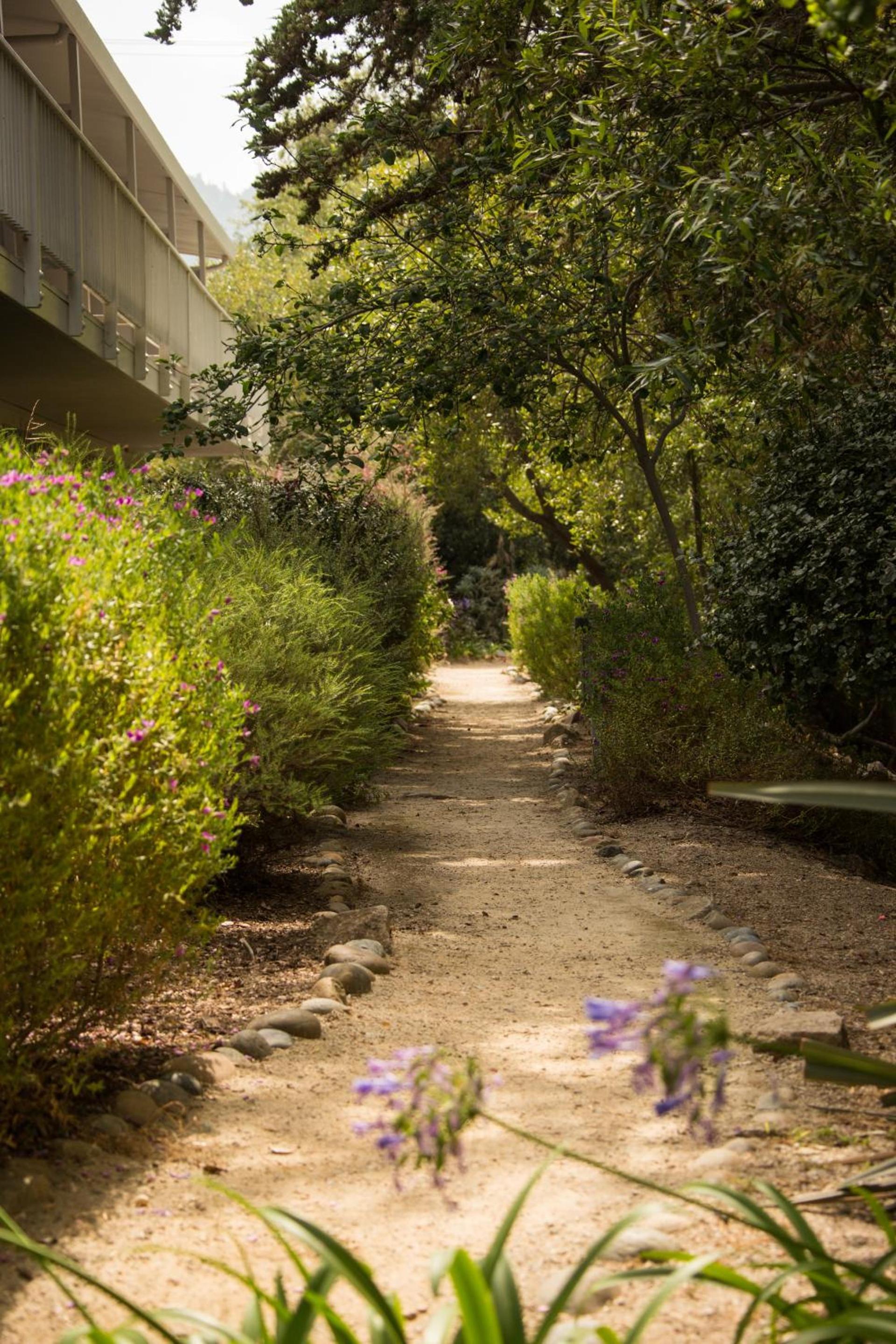Carmel River Inn & Cottages photo 30