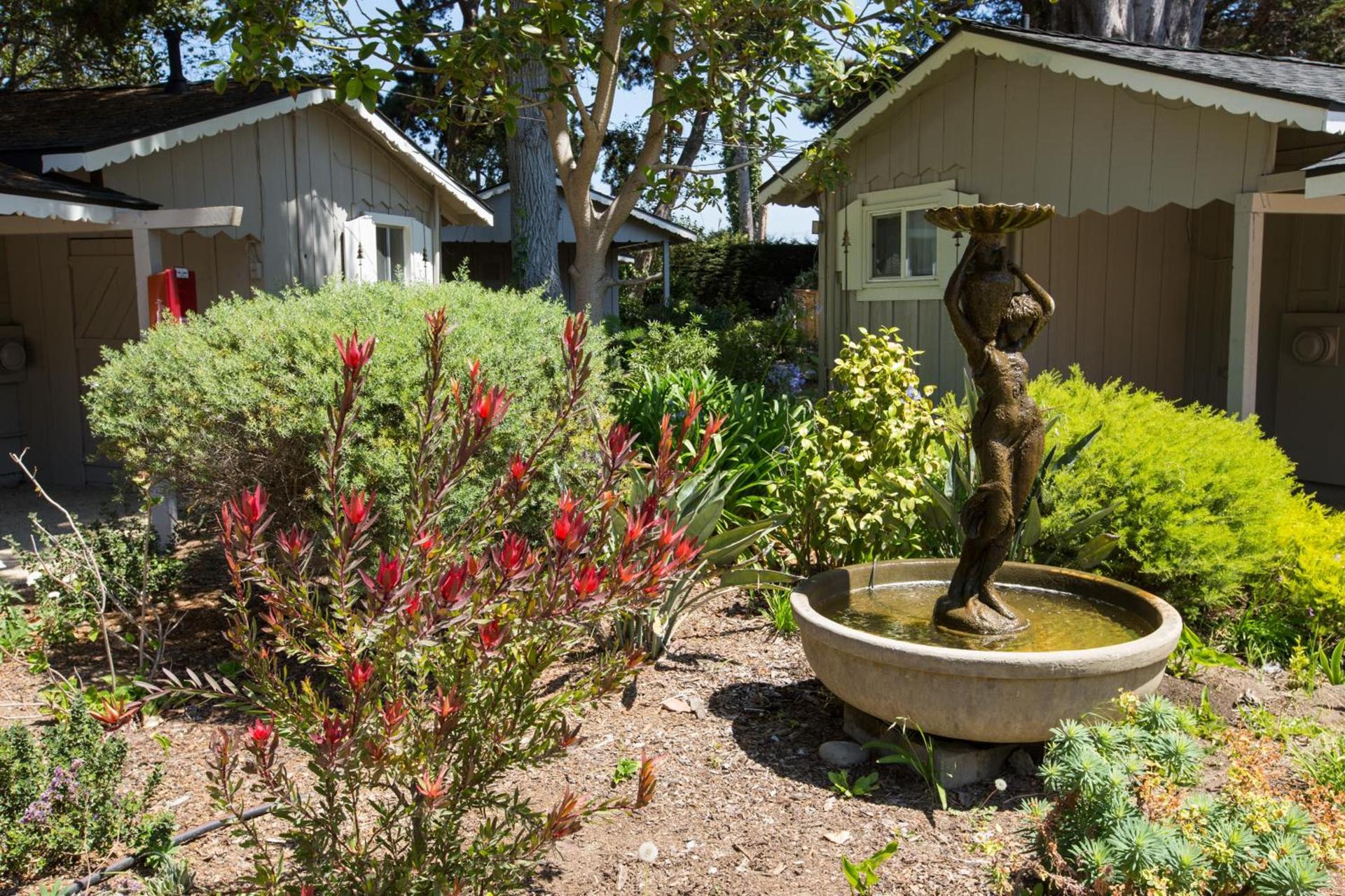 Carmel River Inn & Cottages photo 47