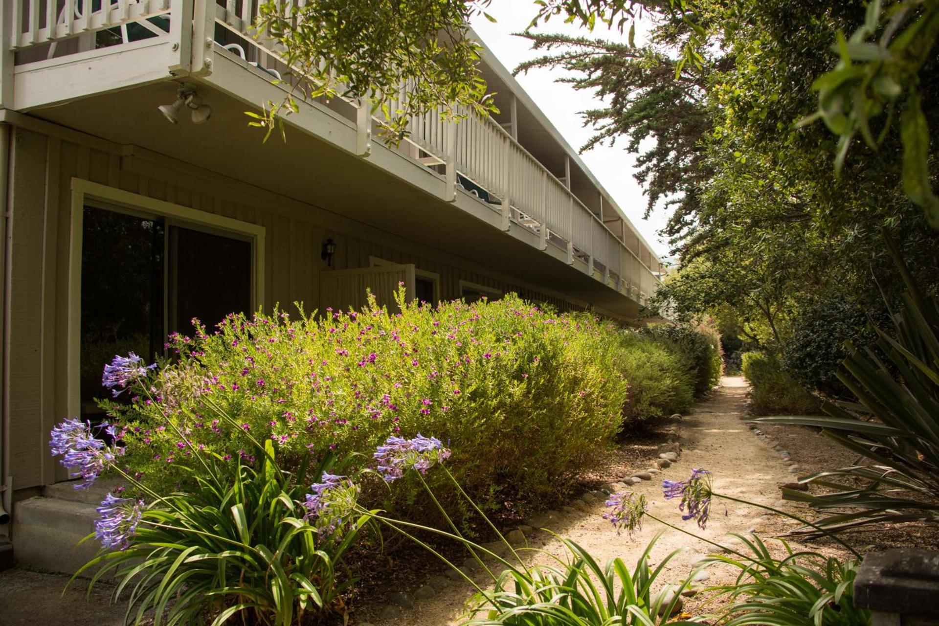 Carmel River Inn & Cottages photo 46