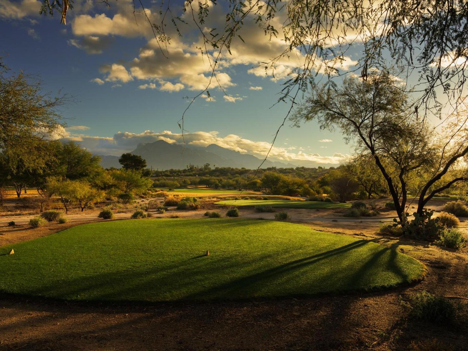 Omni Tucson National Resort & Spa photo 34