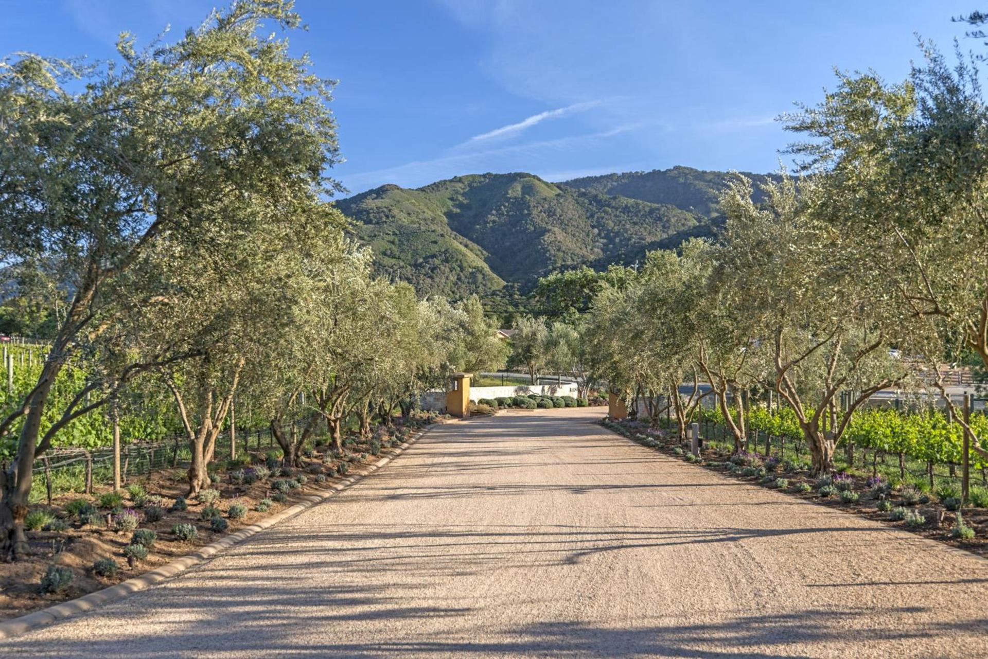 Bernardus Lodge & Spa photo 35