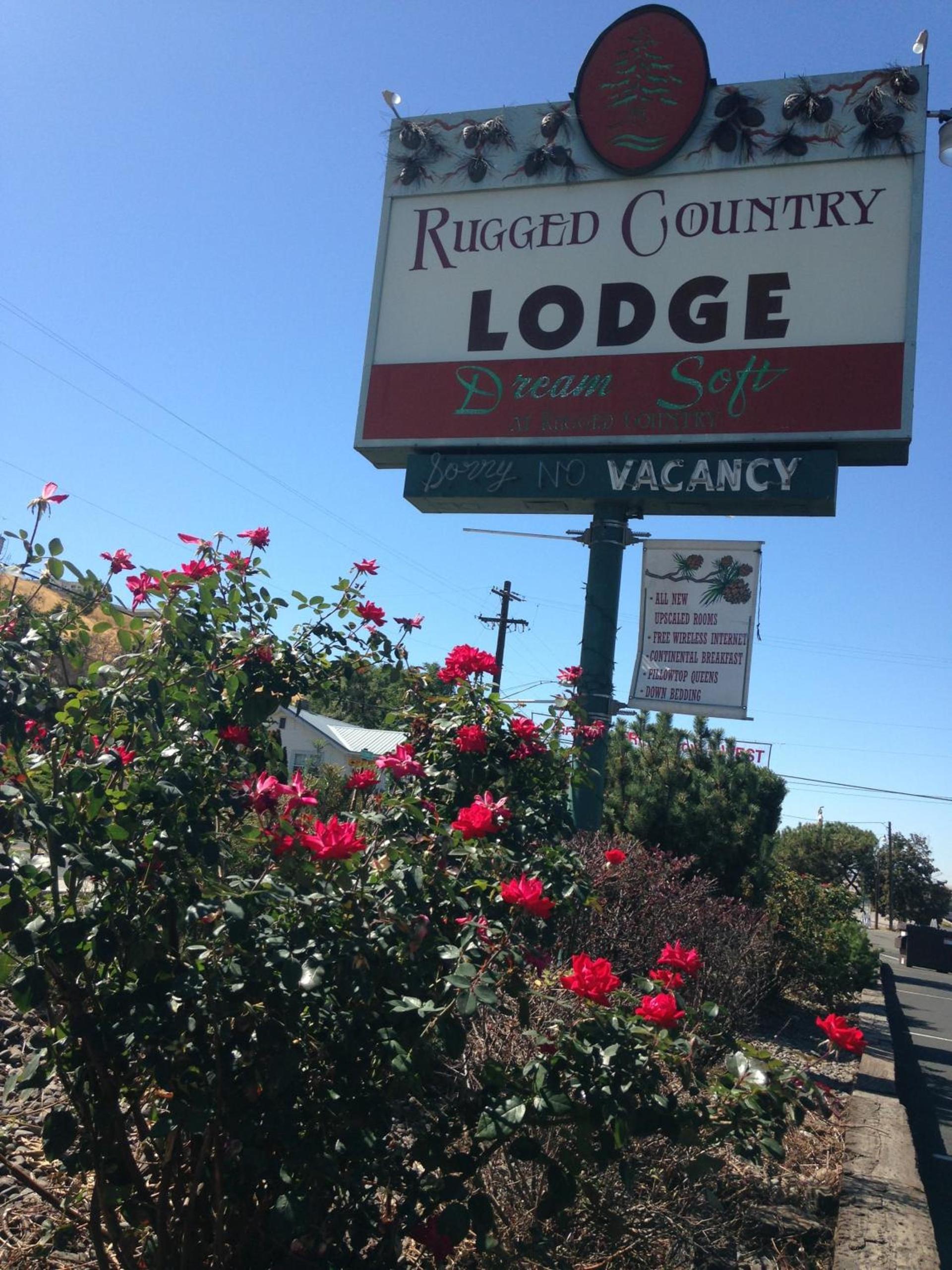 Rugged Country Lodge photo 24