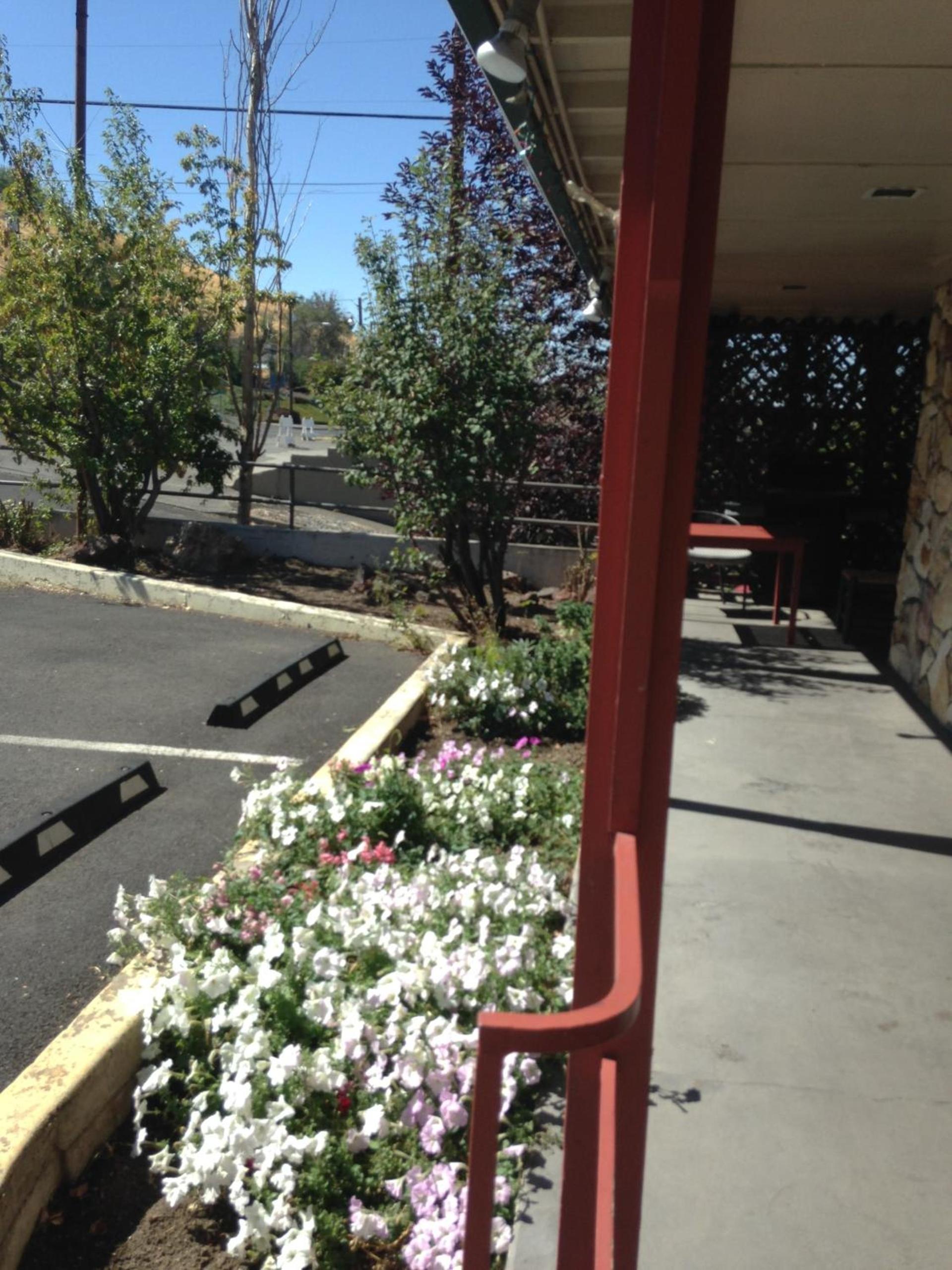Rugged Country Lodge photo 37