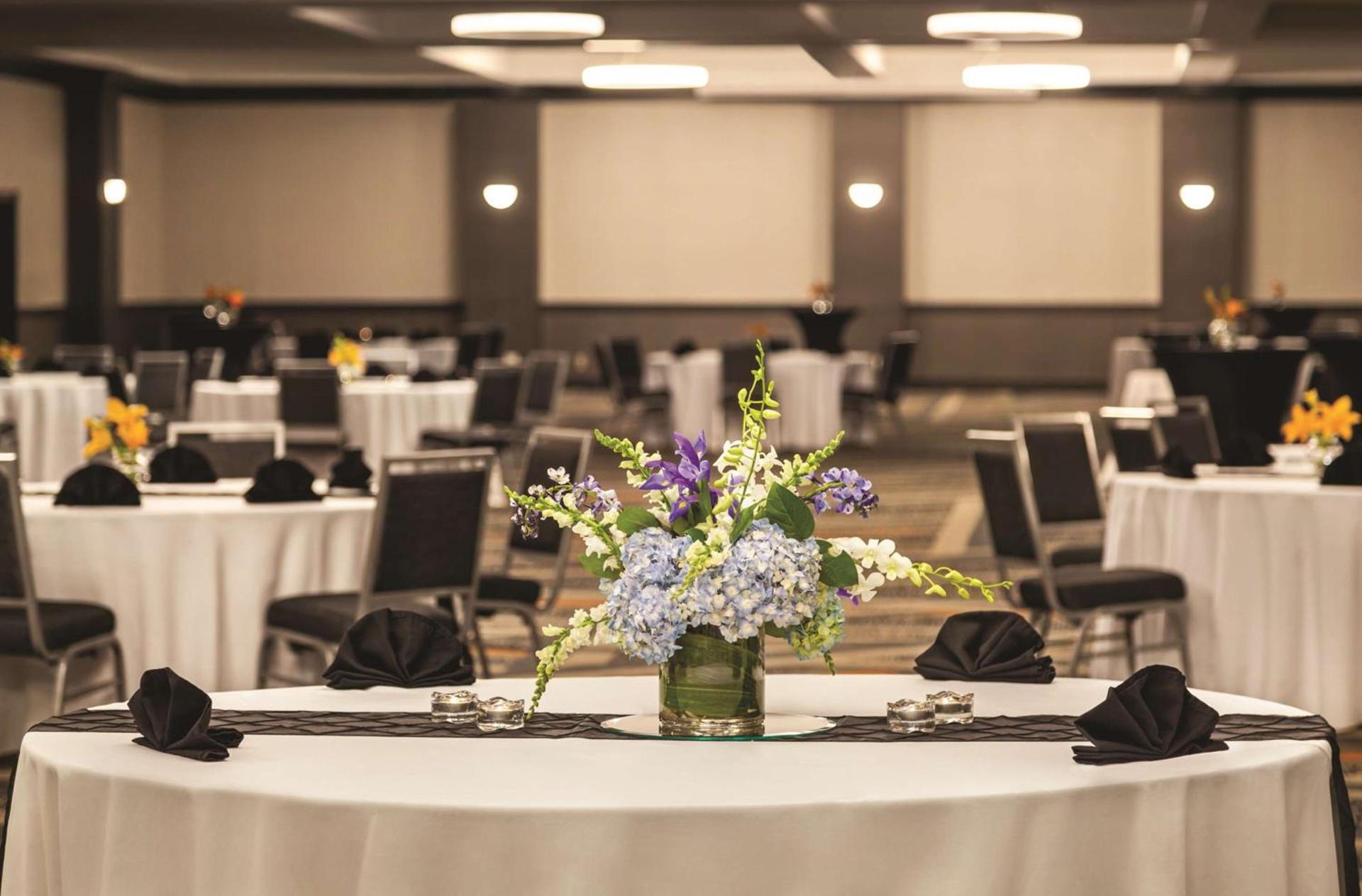 Hilton Knoxville Airport photo 50