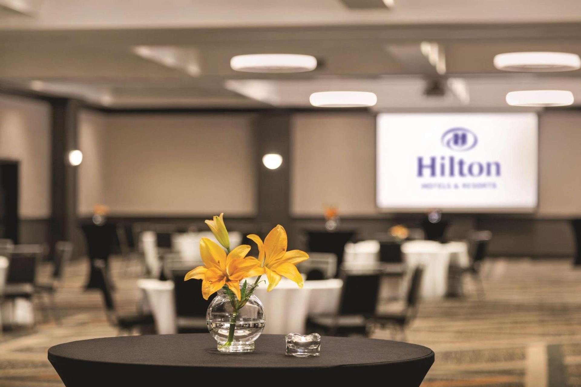 Hilton Knoxville Airport photo 51