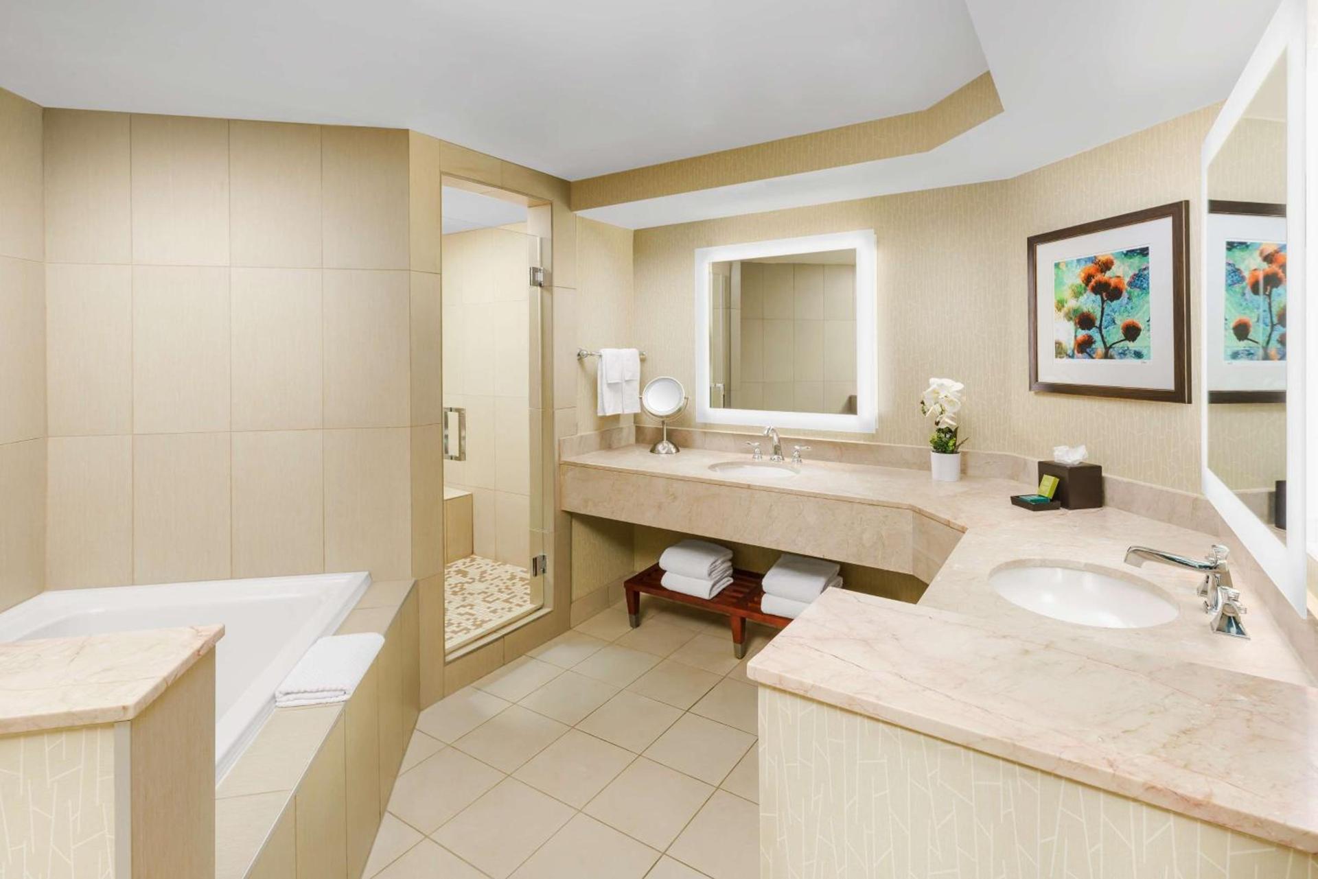Hilton Phoenix Airport photo 34