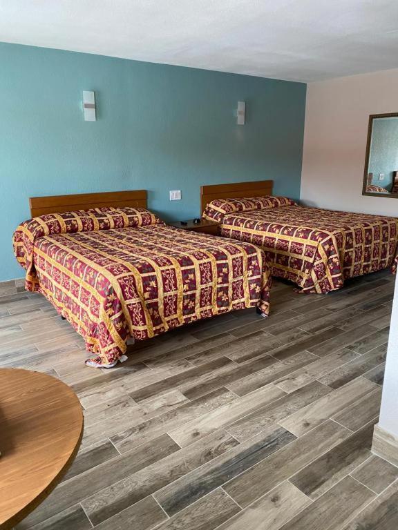 Red Carpet Inn Daytona Beach photo 23