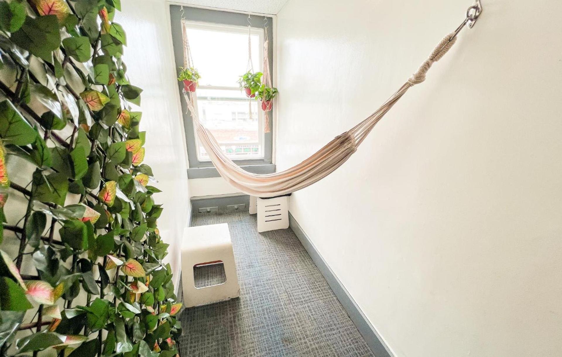 ITH Hermosa Beach Surf Hostel LAX photo 67
