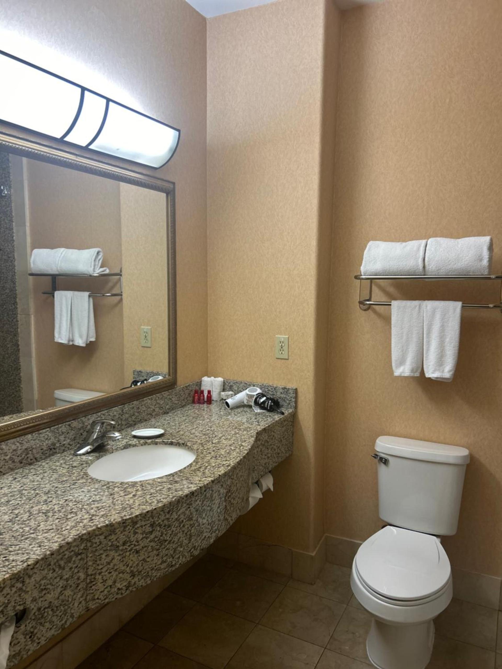 Holiday Inn Express Las Vegas-Nellis by IHG photo 10