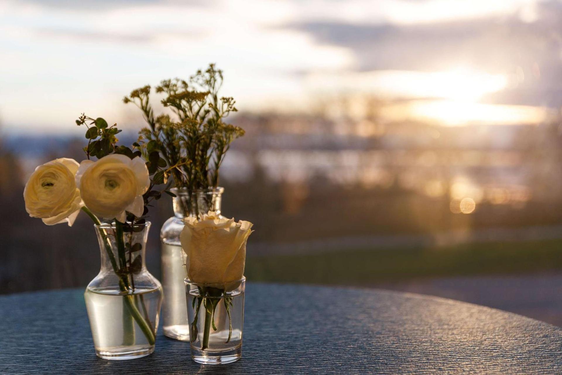 Hotel Champlain Burlington, Curio Collection by Hilton photo 61