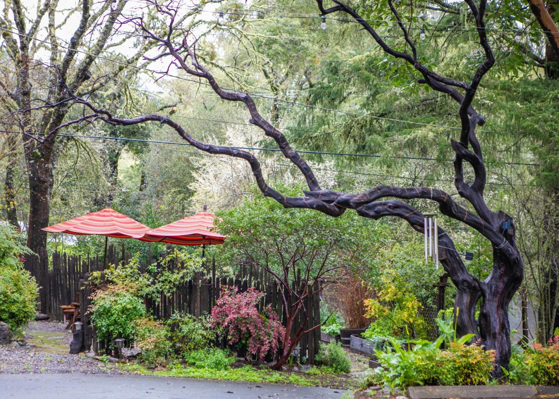 Anderson Valley Inn photo 7