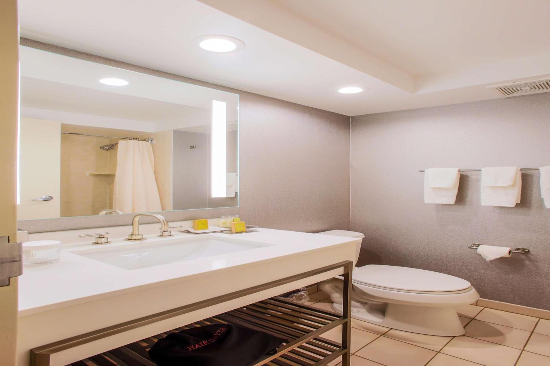 DoubleTree by Hilton Chicago/Alsip photo 21