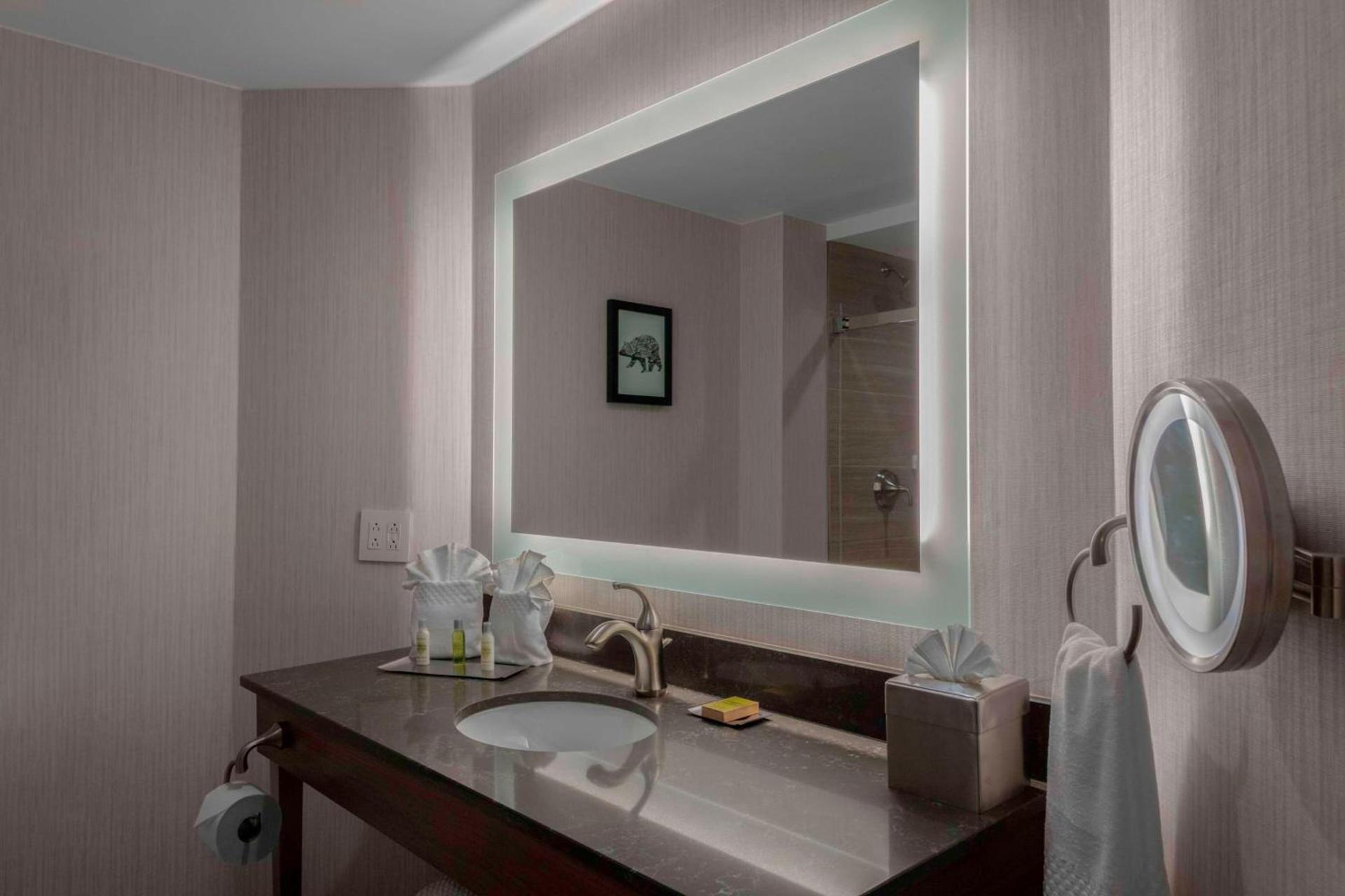DoubleTree by Hilton Hotel Burlington Vermont photo 37