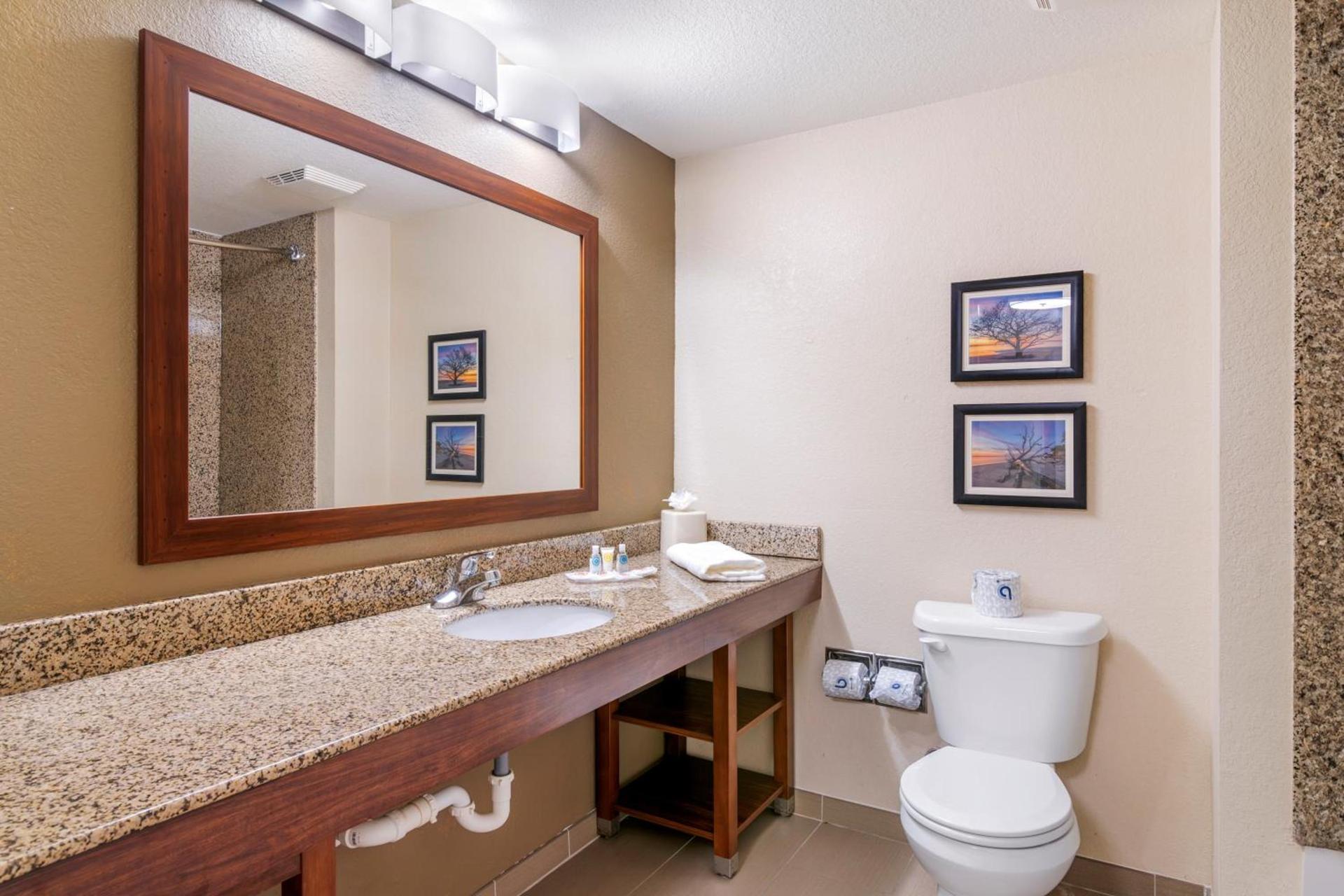 Comfort Suites Brunswick photo 22